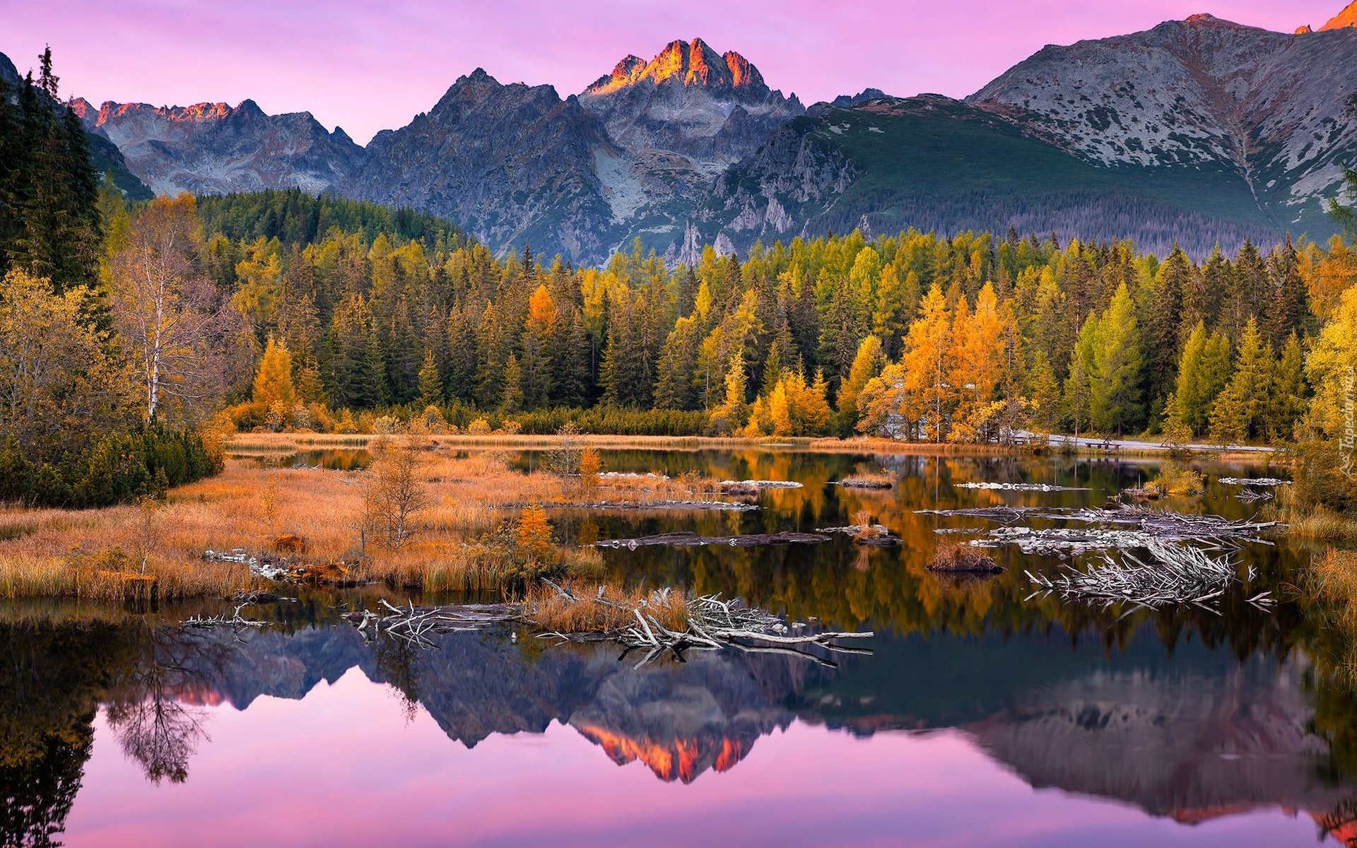 Słowacja, Góry, Tatry, Jezioro, Jesień, Drzewa, Jezioro Szczyrbskie