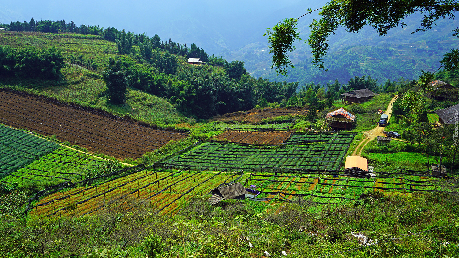 Wzgórza, Pola, Domy, Dolina Muong Hoa Valley, Sapa, Wietnam