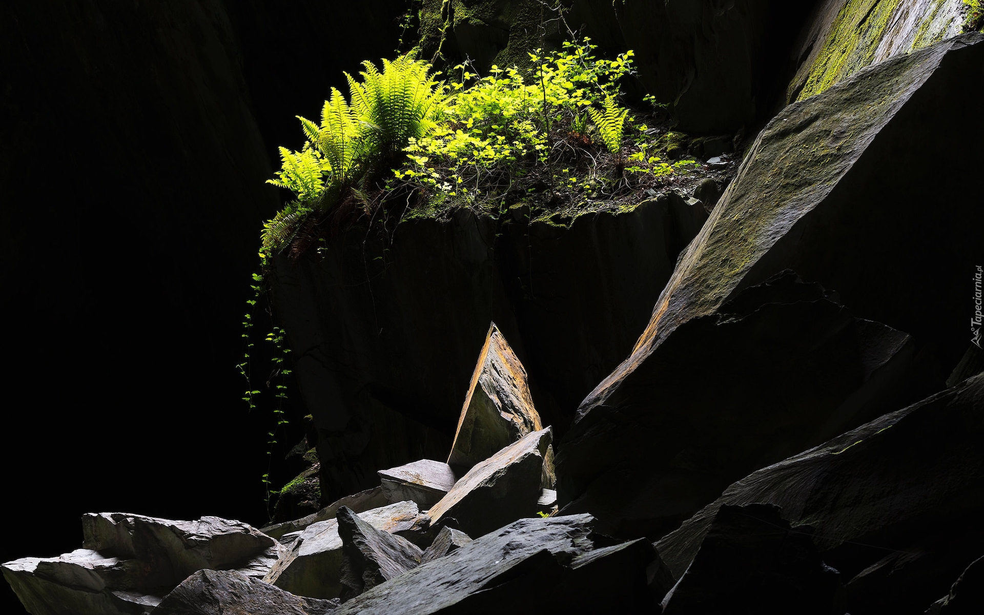 Skały, Grota, Paprocie, Roślinność, Jaskinia, Cathedral Cave, Little Langdale, Kumbria, Anglia