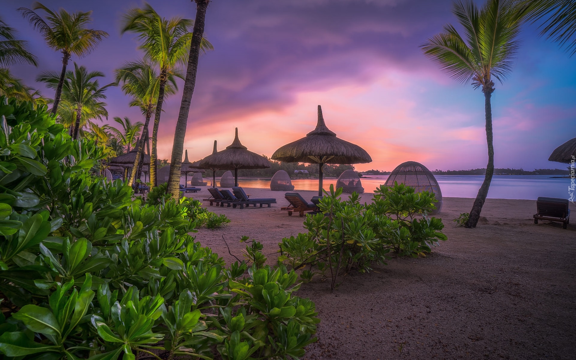 Morze, Plaża, Leżaki, Parasole, Palmy, Roślinność, Zachód słońca, Mauritius