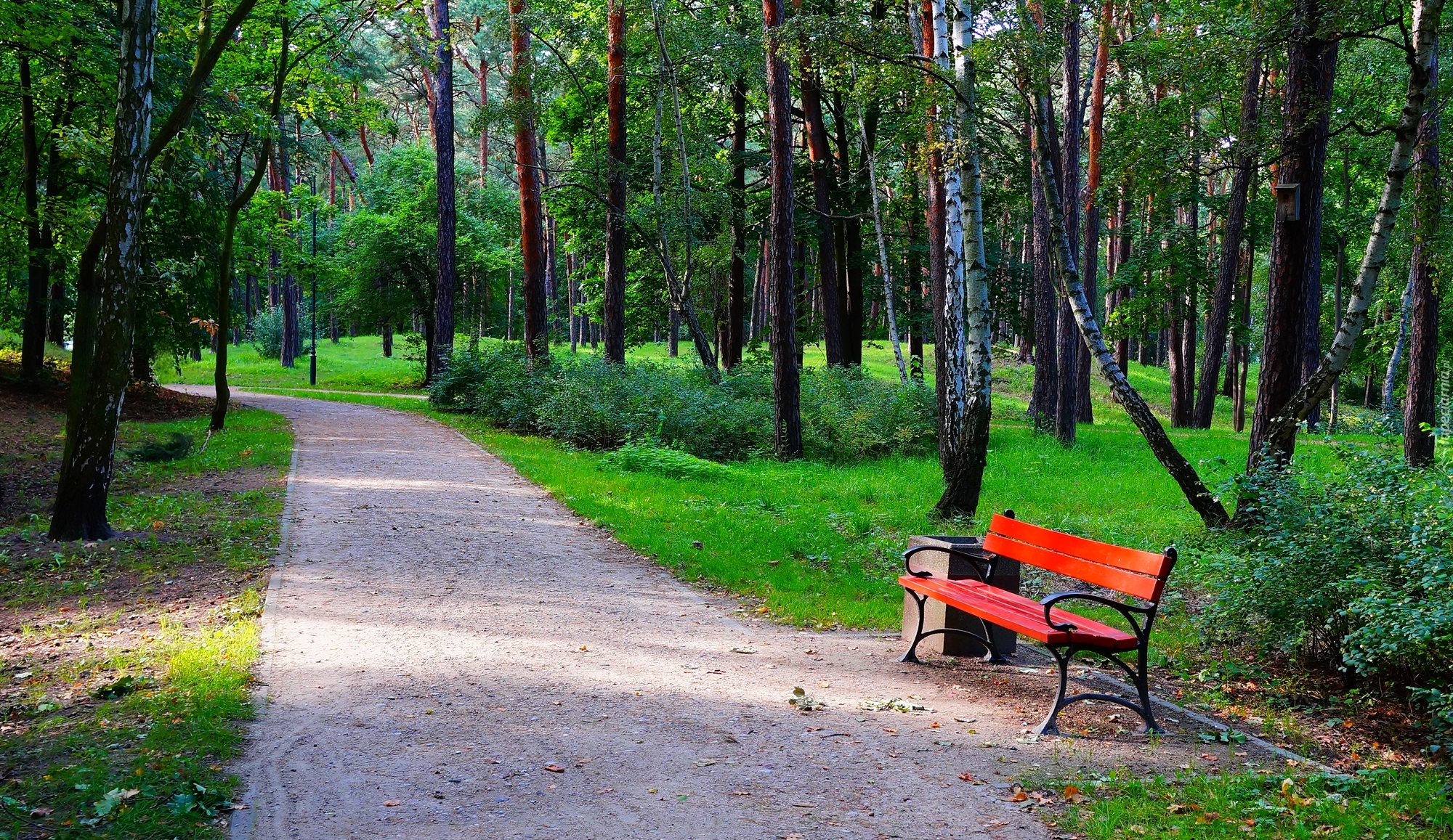 Polska, Gdańsk, Park Brzeźnieński im.J.J.Haffnera, Alejka, Ławka, Drzewa, Zieleń