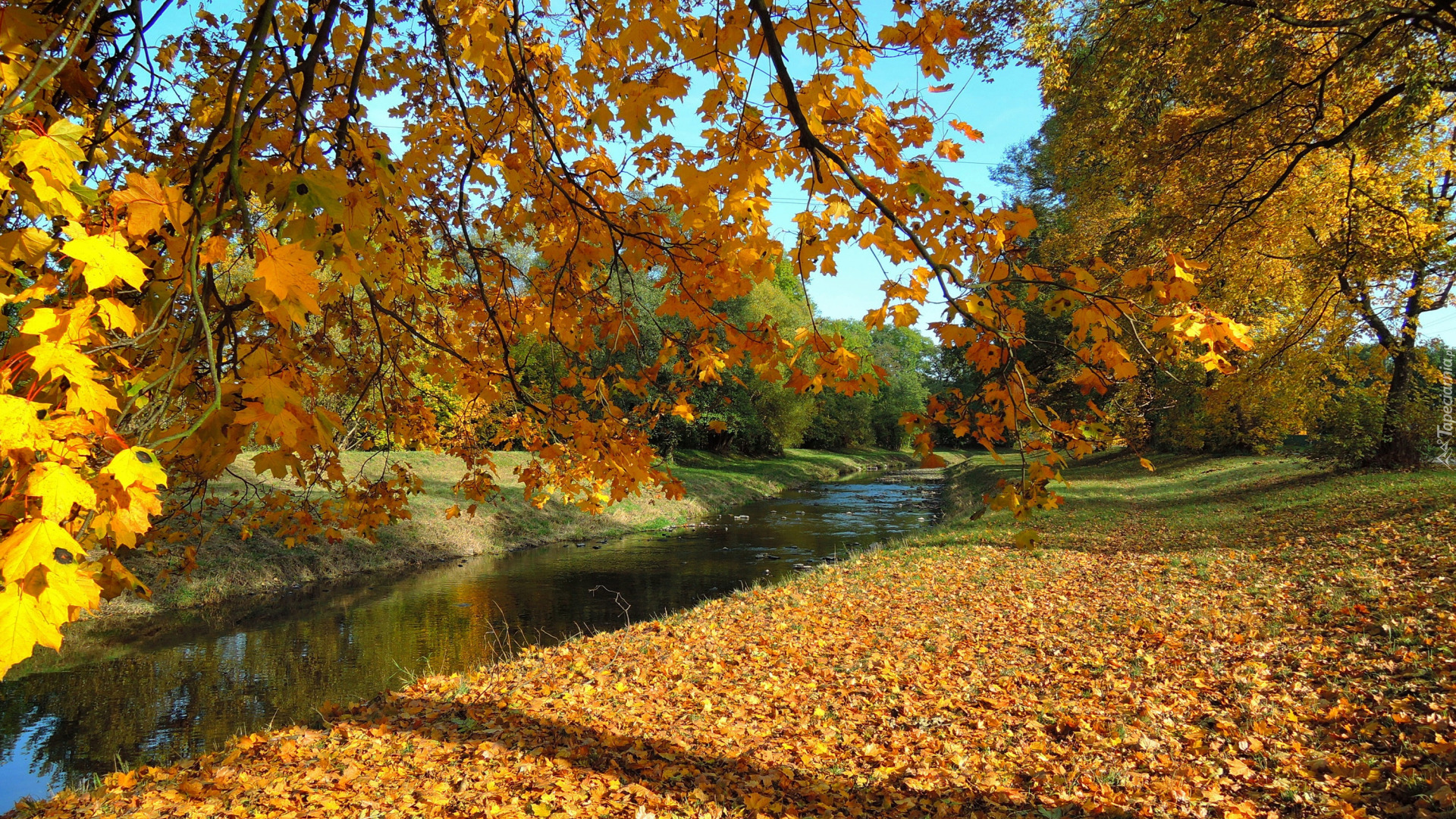 Czechy, Kostelec Nad Orlici, Jesień, Park, Rzeka, Gałęzie, Liście