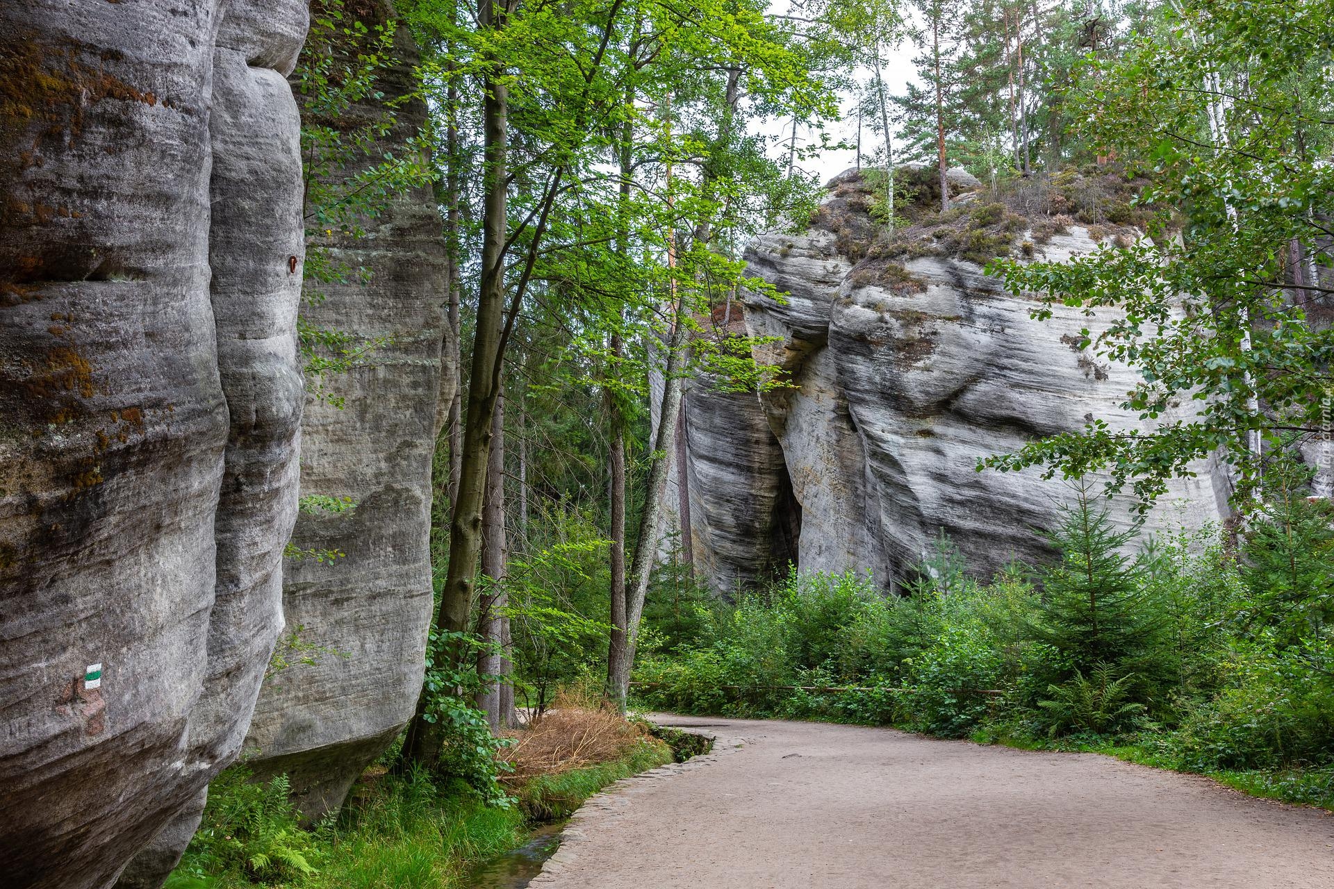 Skały, Drzewa, Park Narodowy Adrspach, Czechy