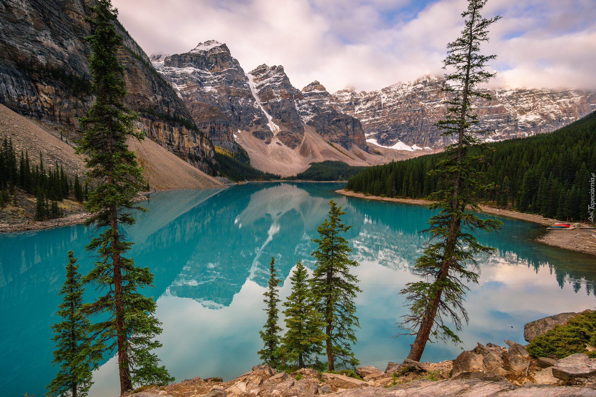 Kanada, Alberta, Park Narodowy Banff, Jezioro Moraine, Drzewa,  Góry