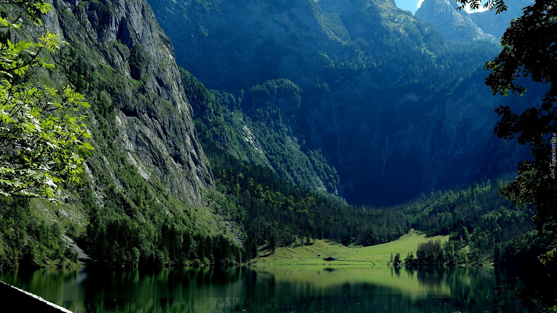 Jezioro Konigssee, Park Narodowy Berchtesgaden, Lasy, Drzewa, Góry, Alpy Berchtesgadeńskie, Bawaria, Niemcy