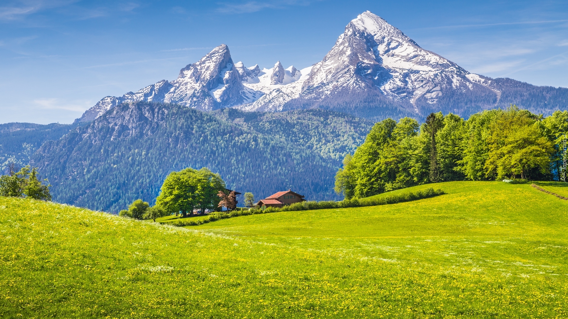 Park Narodowy Berchtesgaden, Góry Alpy, Bawaria, Niemcy, Las, Drzewa, Dom