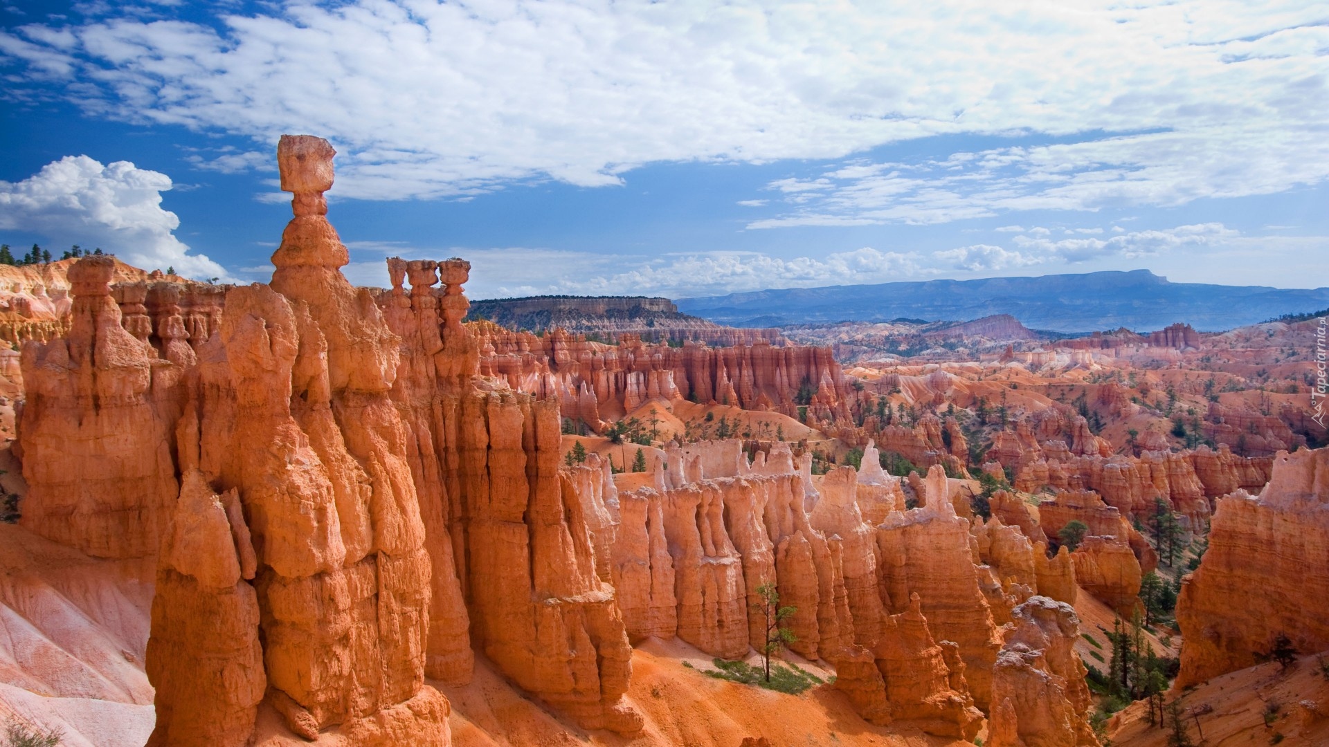 Stany Zjednoczone, Stan Utah, Park Narodowy Bryce Canyon, Kanion, Skały