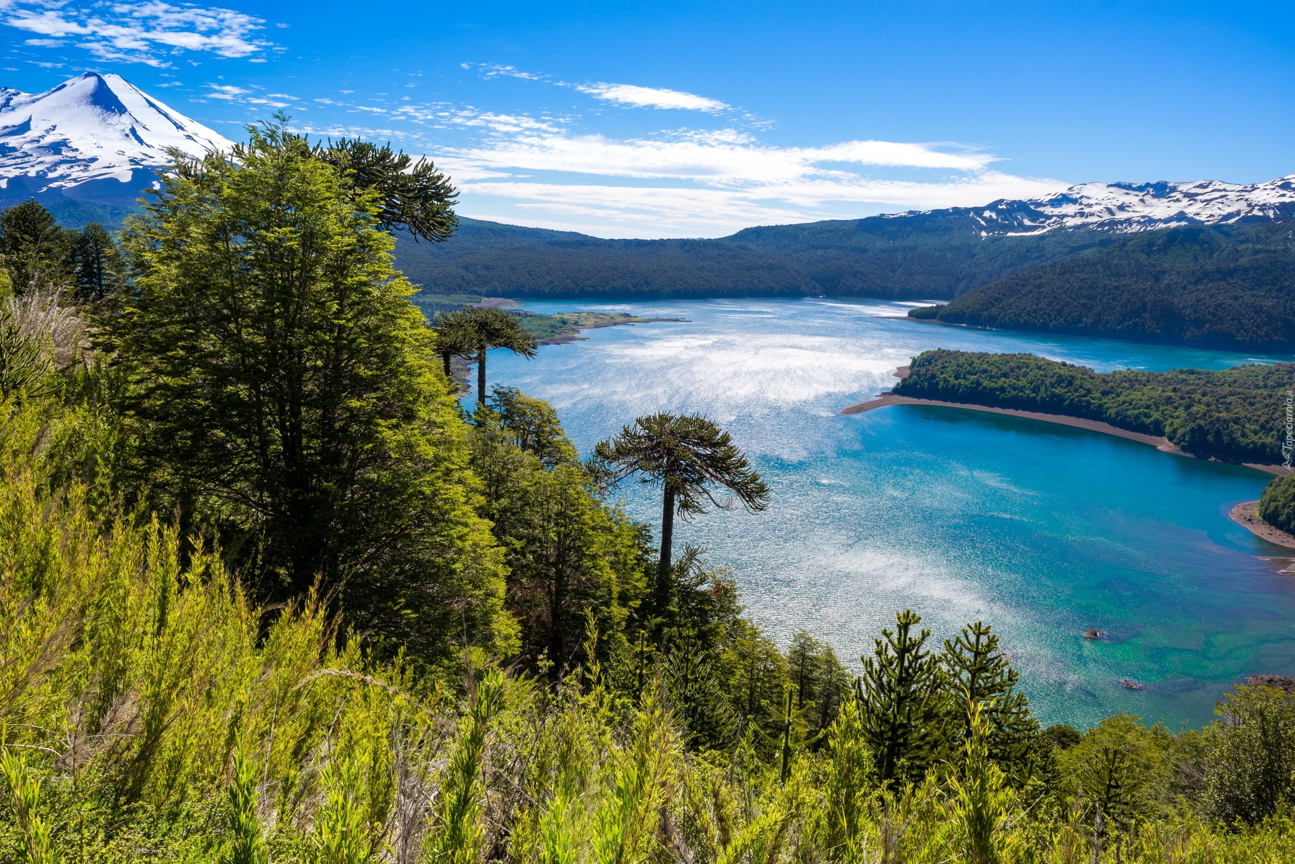 Jezioro, Drzewa, Góry, Chile