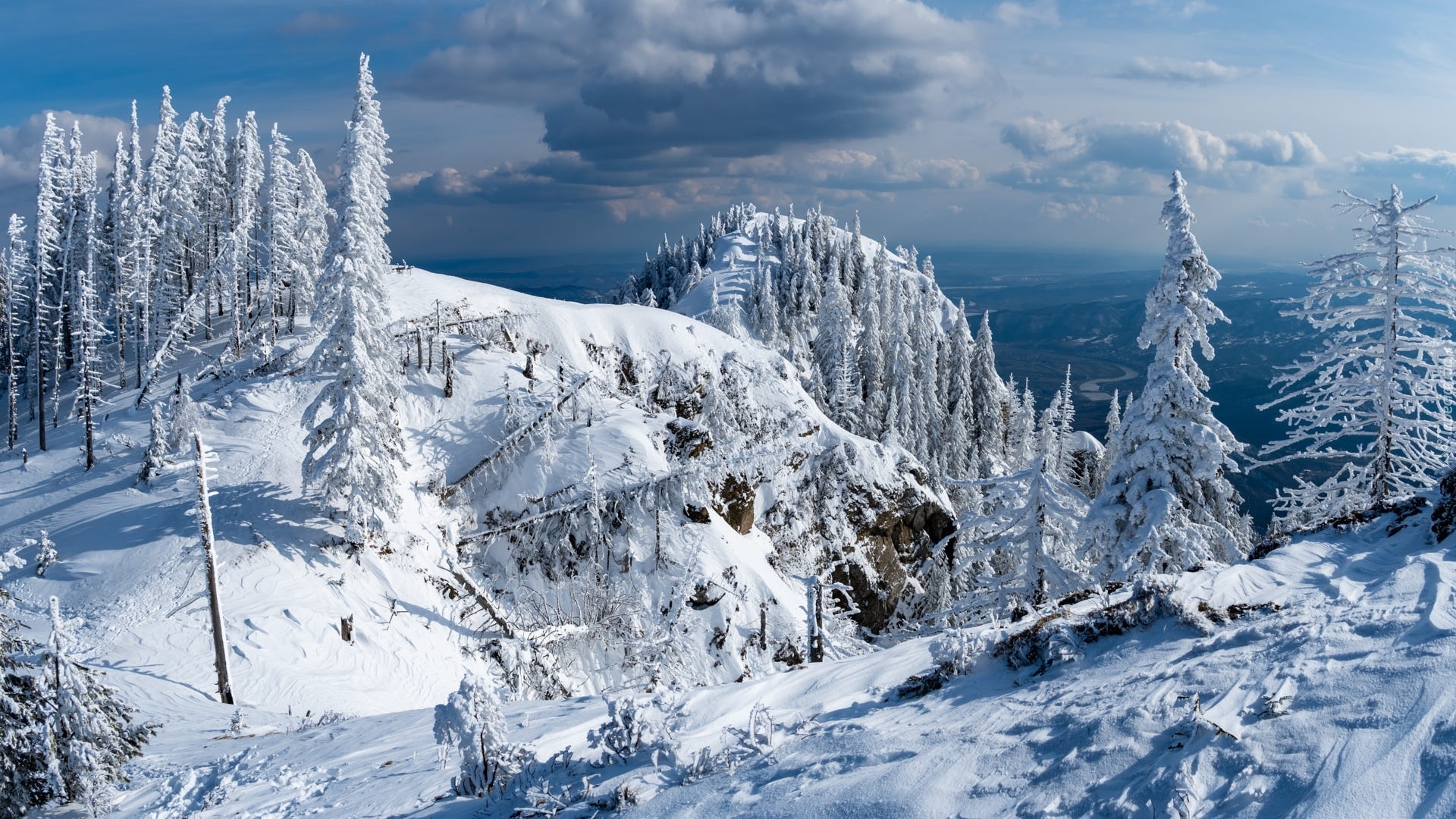 Ośnieżone, Góry, Skały, Ośnieżone, Drzewa, Park Narodowy Cozia, Rumunia