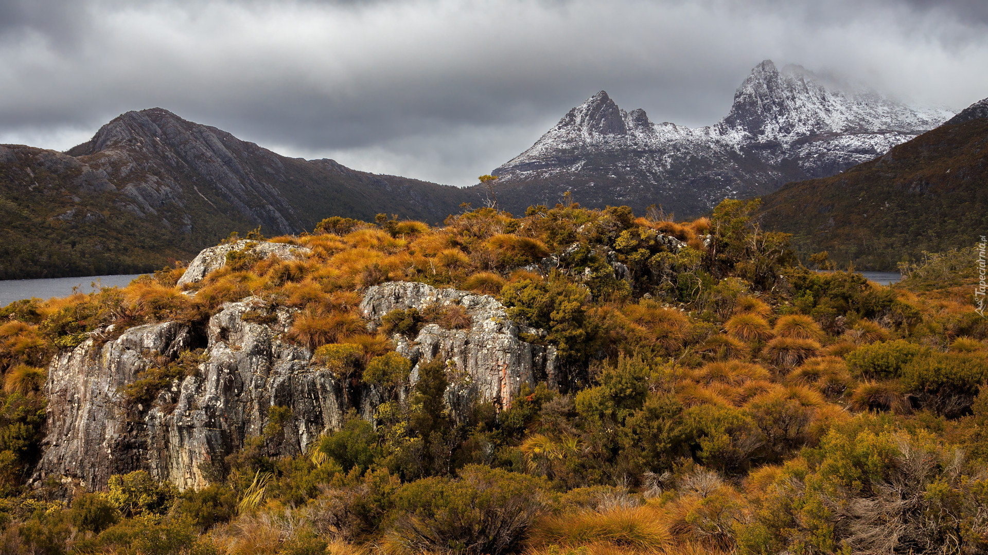 Góry, Cradle Mountain, Park Narodowy Cradle Mountain Lake St Clair, Skały, Drzewa, Jesień, Tasmania, Australia