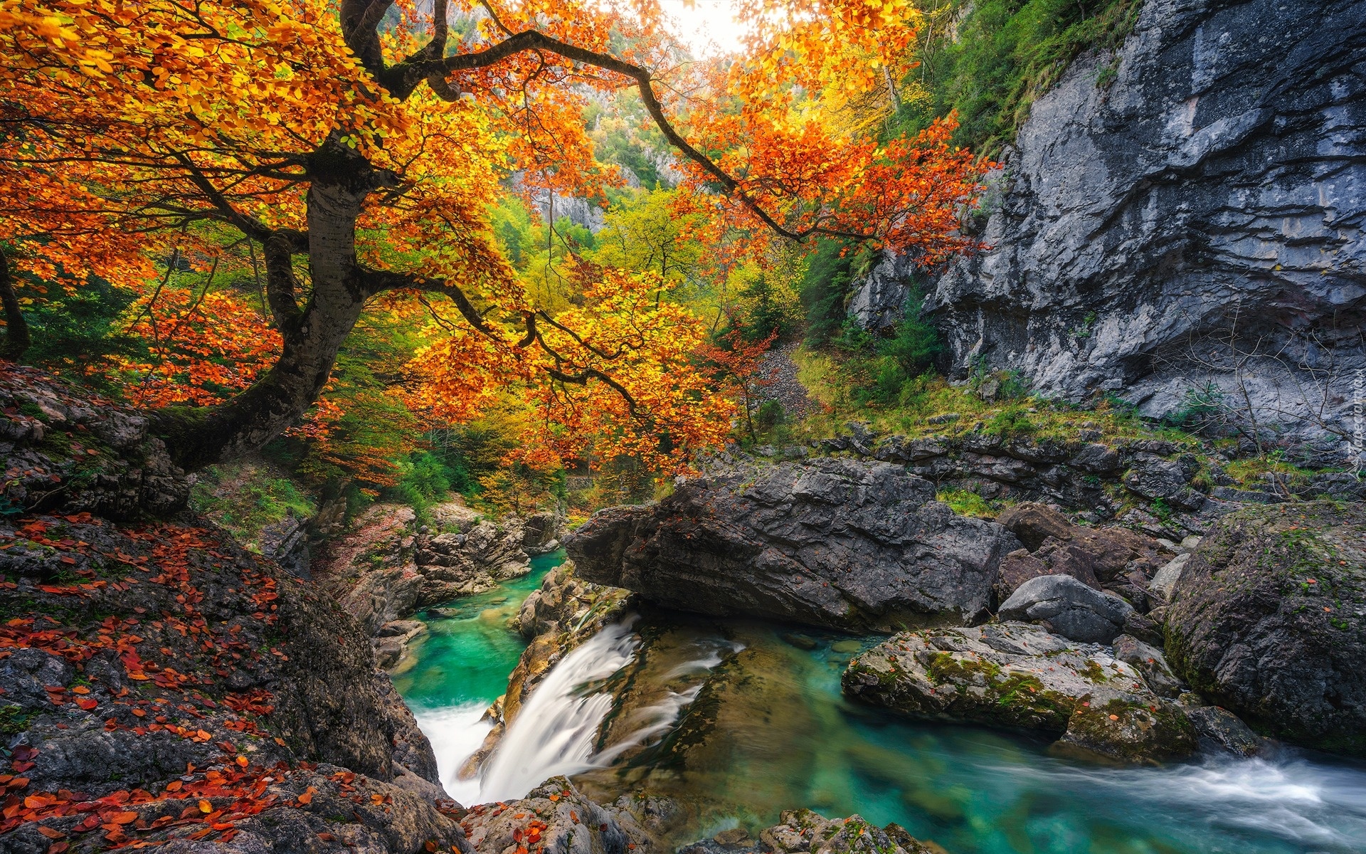 Hiszpania, Huesca, Park Narodowy de Ordesa y Monte Perdido, Drzewa, Las, Rzeka, Jesień, Skały, Kaskada, Liście