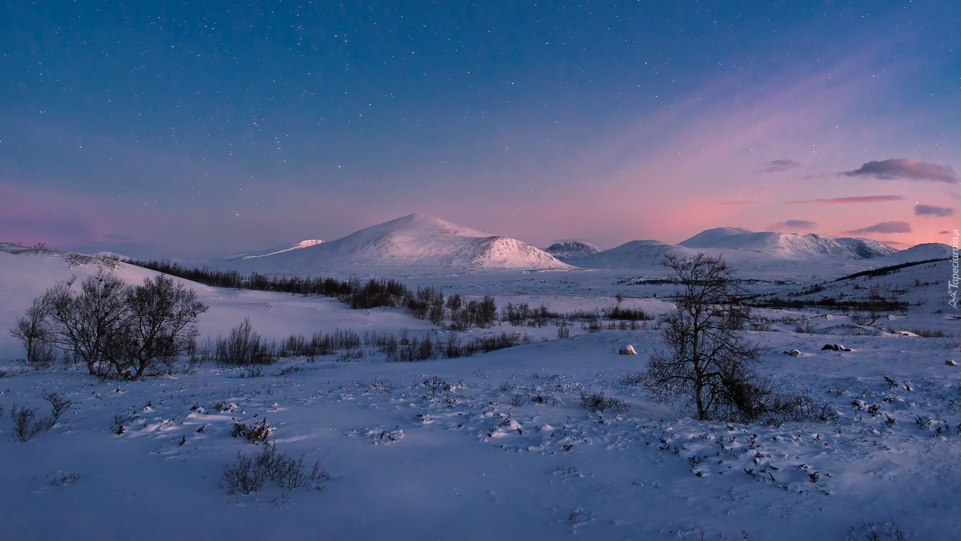 Zima, Góry Dovre, Drzewa, Niebo, Gwiazdy, Park Narodowy Dovrefjell, Norwegia