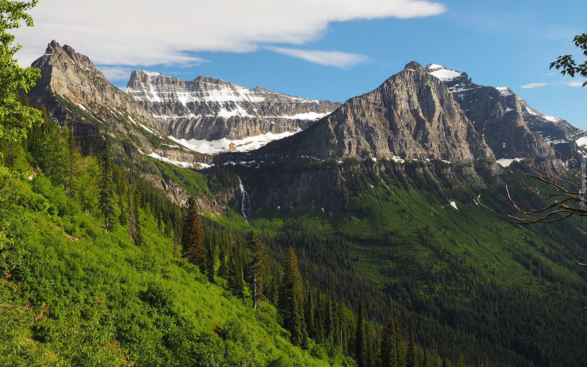 Góry Skaliste, Lasy, Park Narodowy Glacier, Montana, Stany Zjednoczone