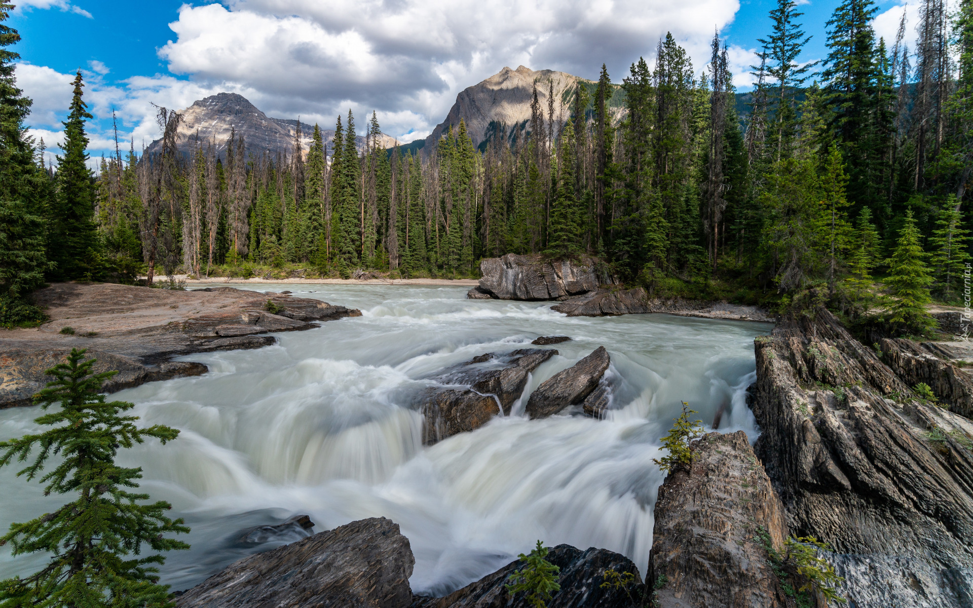 Park Narodowy Jasper, Las, Drzewa, Góry, Rzeka, Sunwapta River, Kamienie, Wodospad, Sunwapta Falls, Skały, Alberta, Kanada