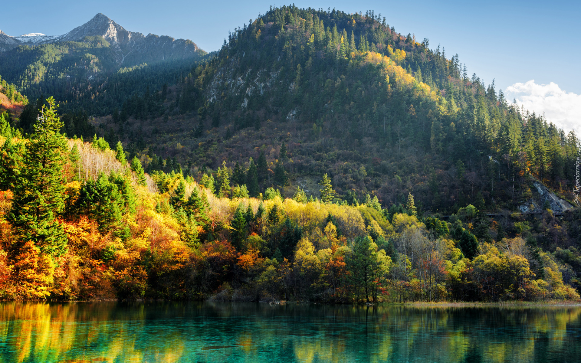 Park Narodowy Jiuzhaigou, Jesień, Las, Góry, Jezioro Wu Hua Hai - Pięciu Kwiatów, Drzewa, Chiny