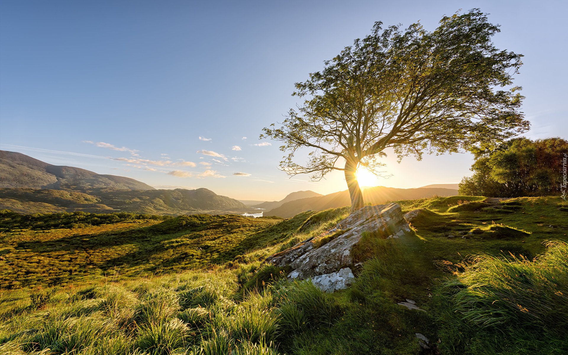 Irlandia, Park Narodowy Killarney, Wschód słońca, Góry, Drzewo, Trawa, Kamienie