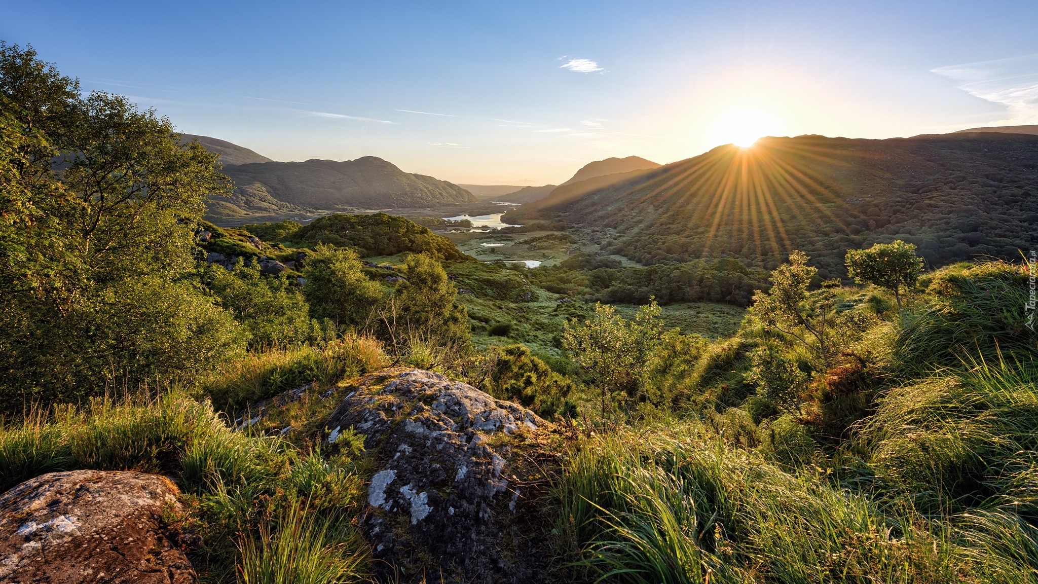 Irlandia, Park Narodowy Killarney, Hrabstwo Kerry, Promienie słońca, Góry, Drzewo, Trawa, Skały