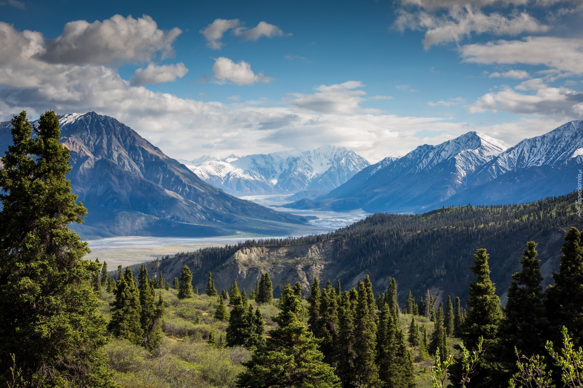 Kanada, Jukon, Park Narodowy Kluane, Góry, Masyw, Szczyt, Mount Logan, Lasy, Drzewa