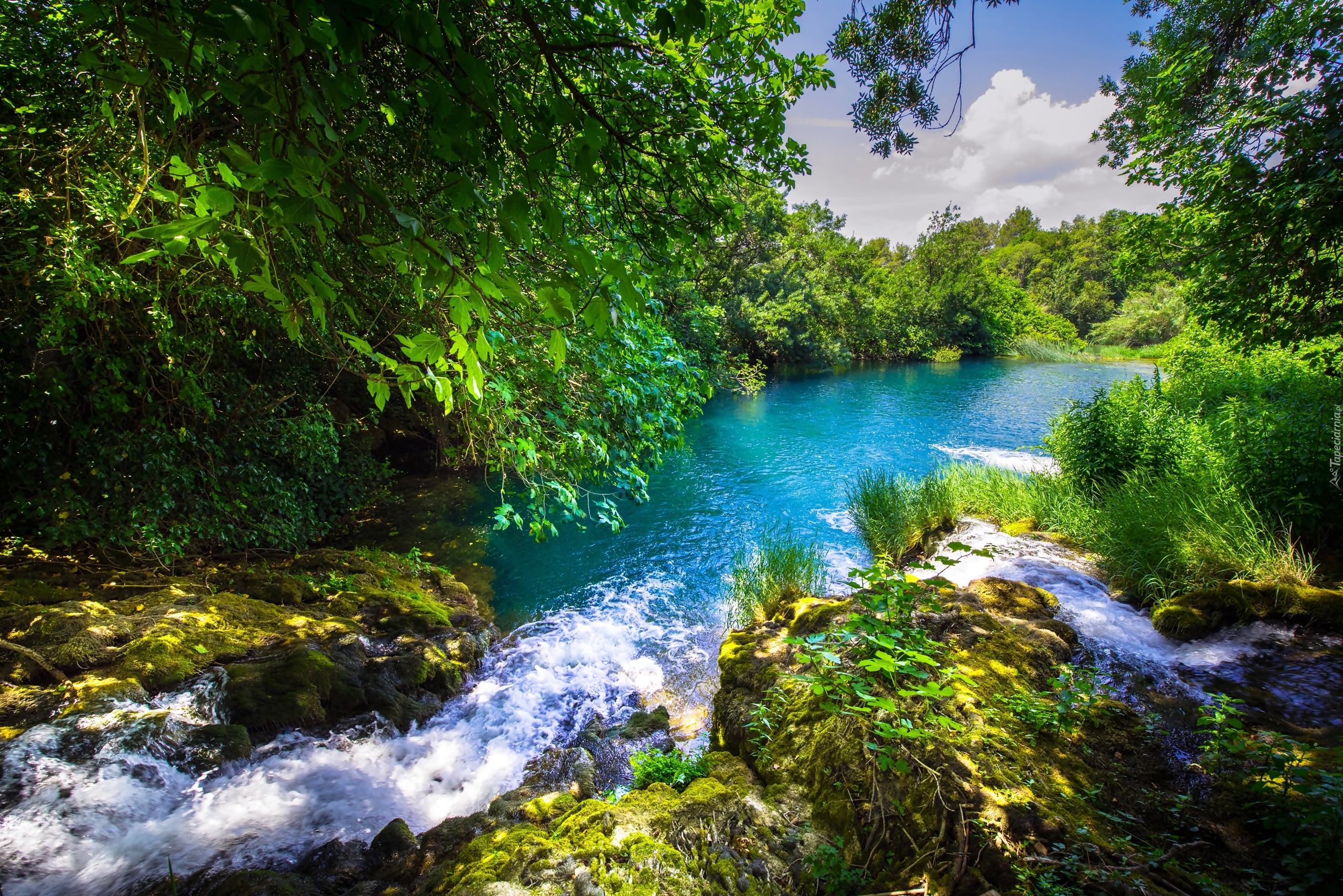 Chorwacja, Dalmacja, Park Narodowy Krka, Rzeka Krka