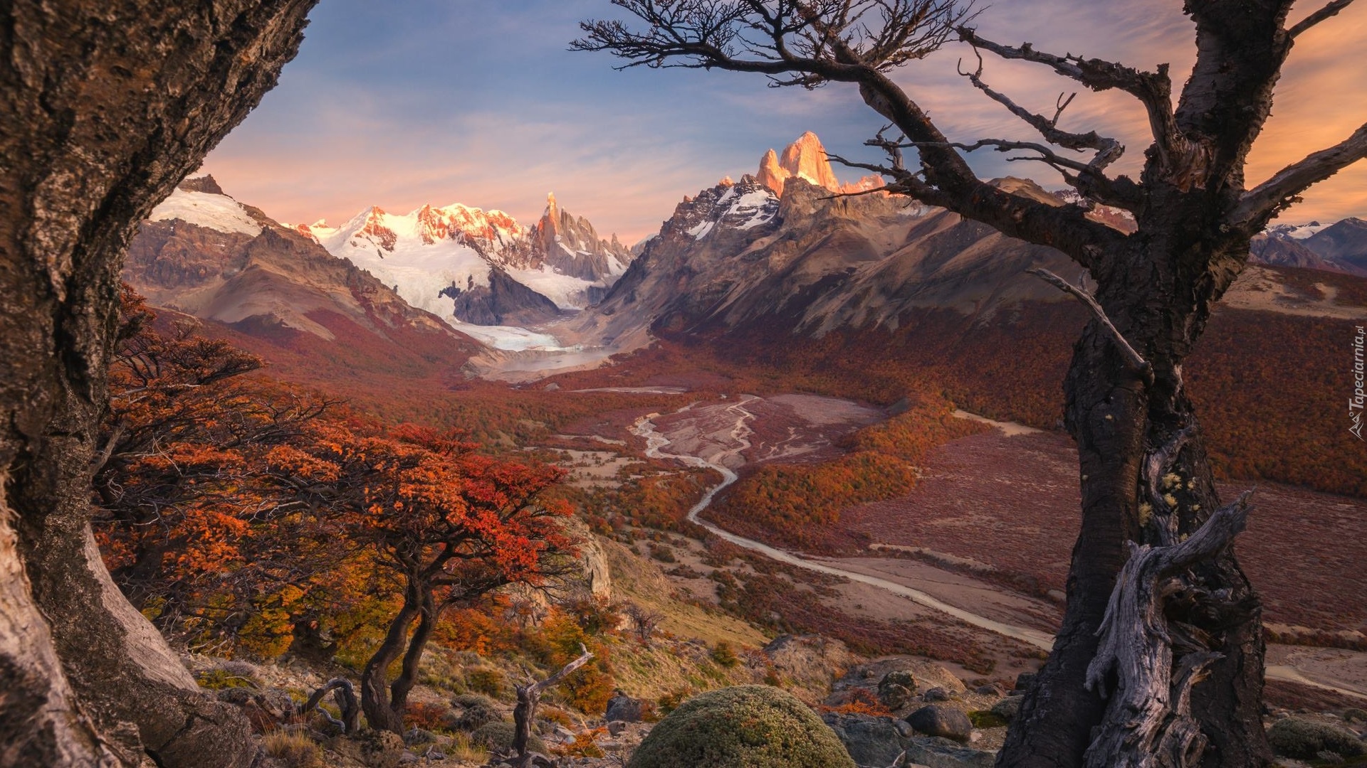 Argentyna, Patagonia, Park Narodowy Los Glaciares, Jesień, Góry, Szczyt Fitz Roy, Drzewa, Rzeka, Rio de las Vueltas