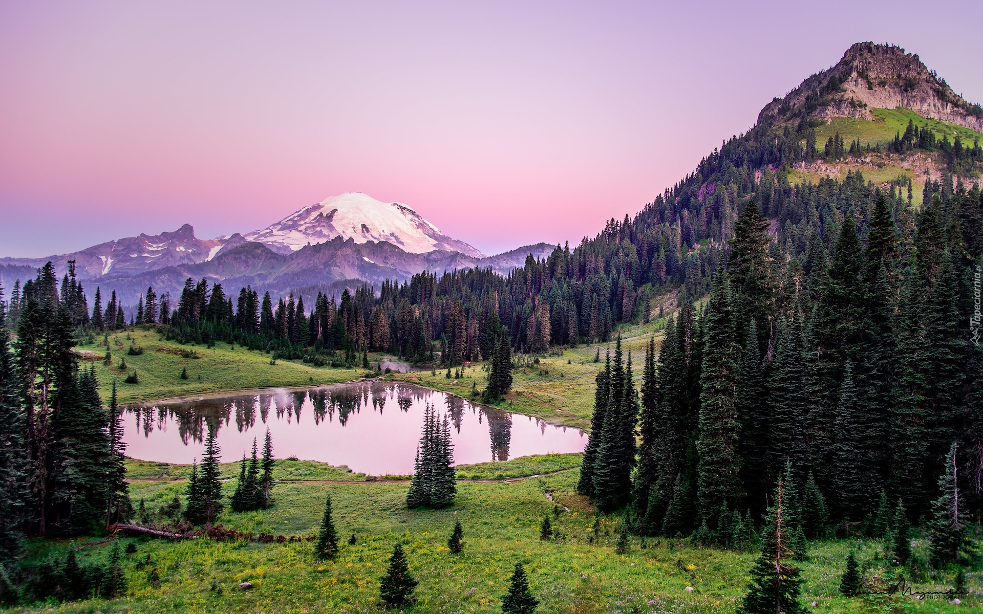 Stany Zjednoczone, Stan Waszyngton, Park Narodowy Mount Rainier, Stratowulkan Mount Rainier, Łąka, Trawa, Staw, Drzewa, Świerki, Góry