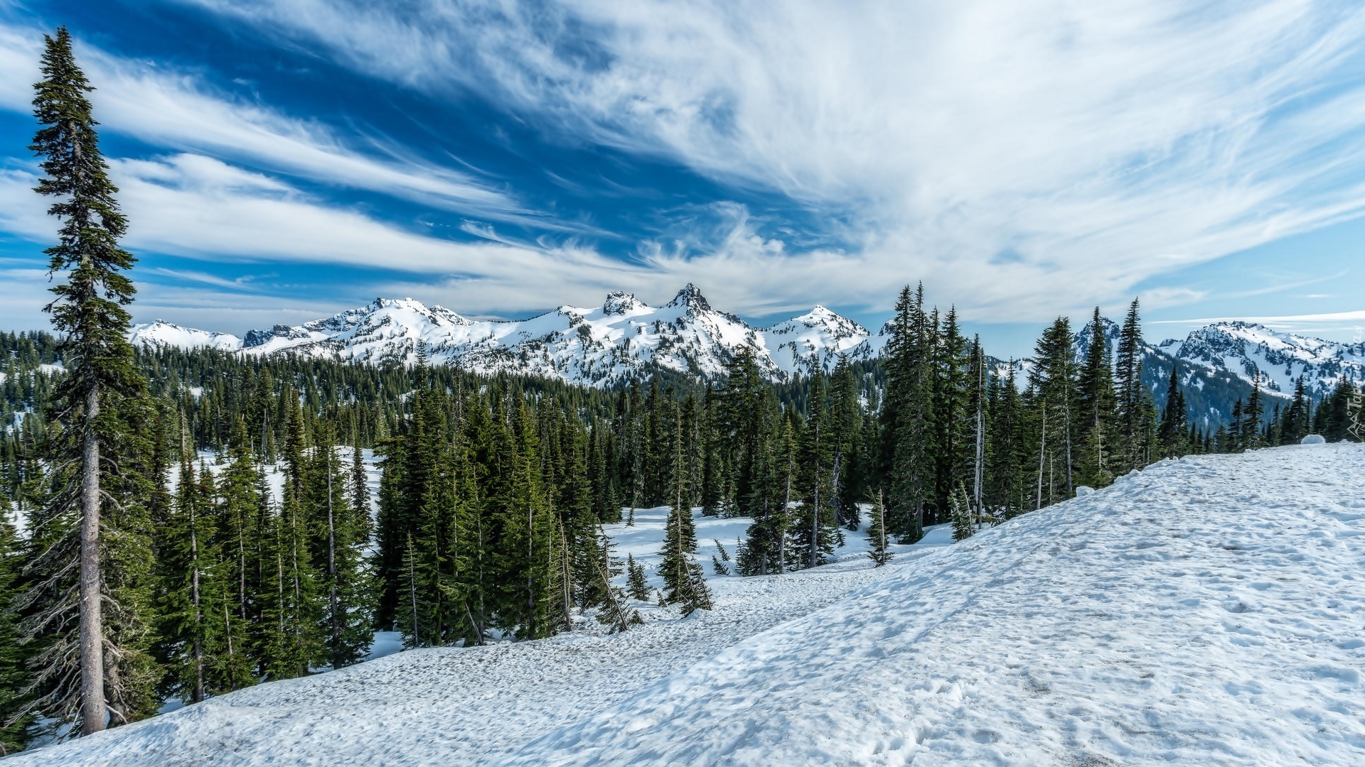 Zima, Góry Kaskadowe, Pasmo Tatoosh, Park Narodowy Mount Rainier, Drzewa, Chmury, Stan Waszyngton, Stany Zjednoczone