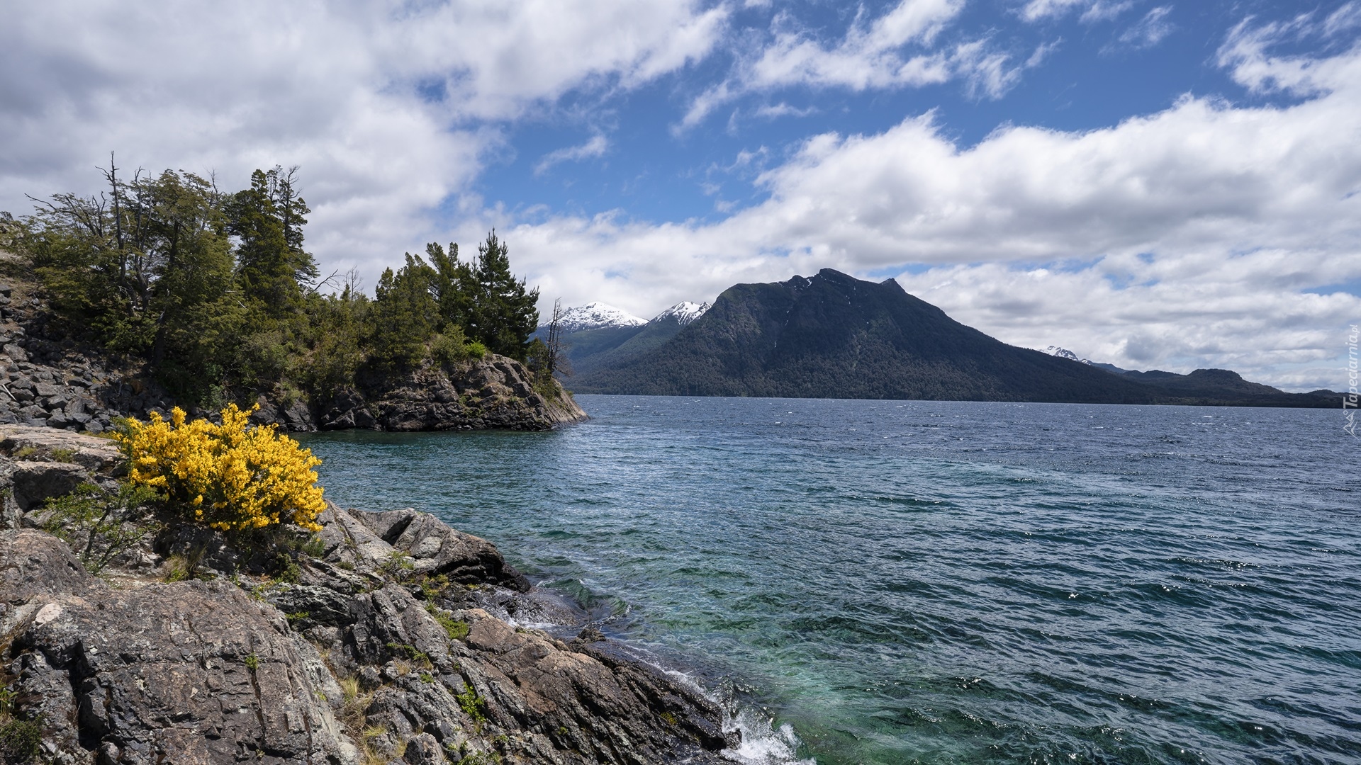 Argentyna, Jezioro, Nahuel Huapi Lake, Park Narodowy Nahuel Huapi, Góry Andy, Skały, Drzewa, Kwiaty, Chmury