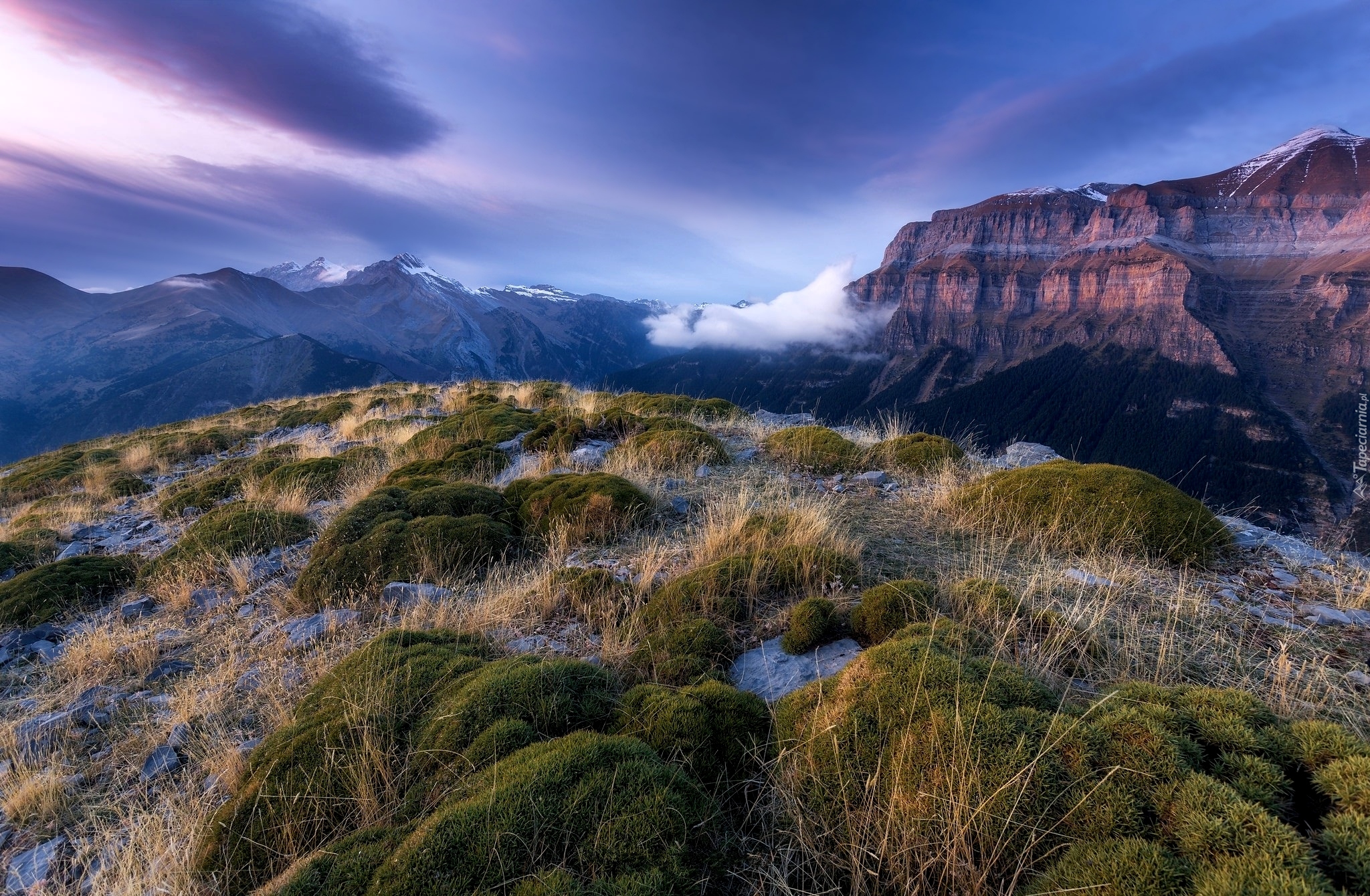 Park Narodowy Ordesa y Monte Perdido, Góry Pireneje, Kanion de Anisclo, Hiszpania, Kępki, Trawa