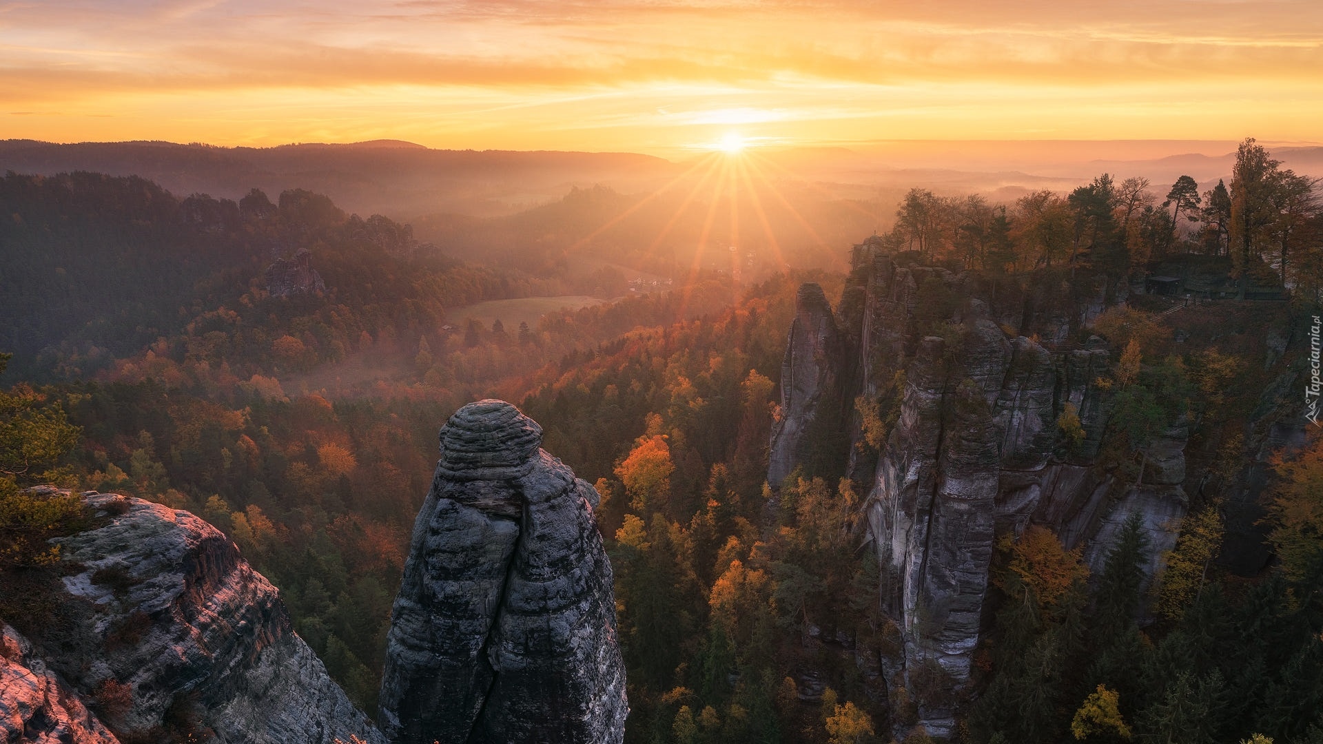 Niemcy, Park Narodowy Saskiej Szwajcarii, Góry Połabskie, Skały, Drzewa, Wschód słońca, Promienie słońca, Jesień
