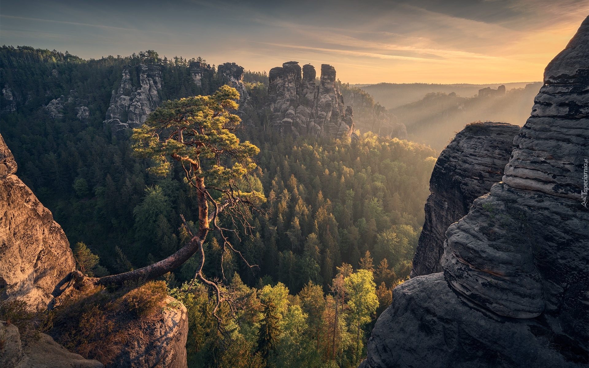 Góry Połabskie, Park Narodowy Saskiej Szwajcarii, Skały, Drzewo, Las, Przebijające światło, Niemcy