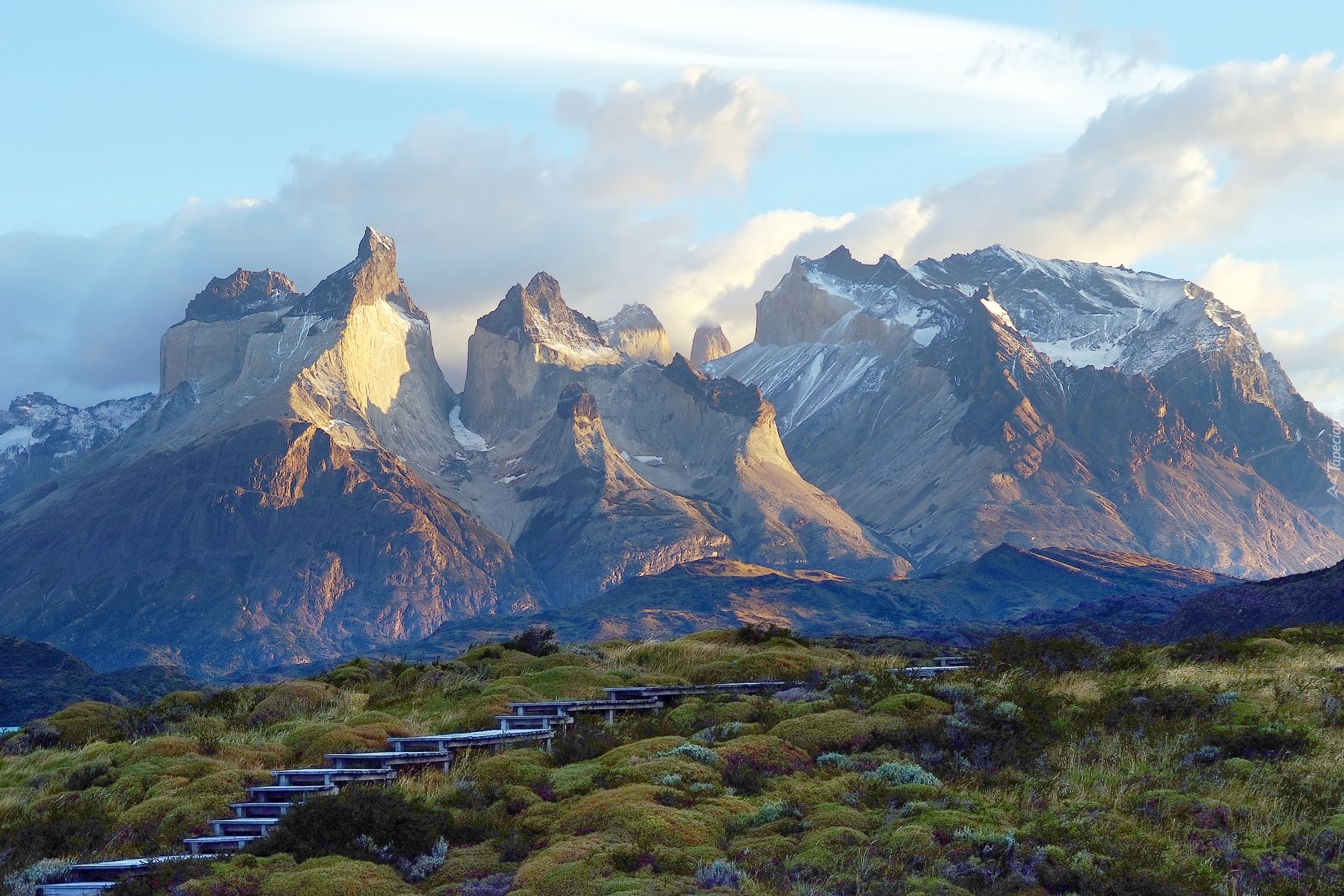 Chile, Patagonia, Park Narodowy Torres del Paine, Góry Cordillera del Paine, Roślinność, Drewniane, Stopnie