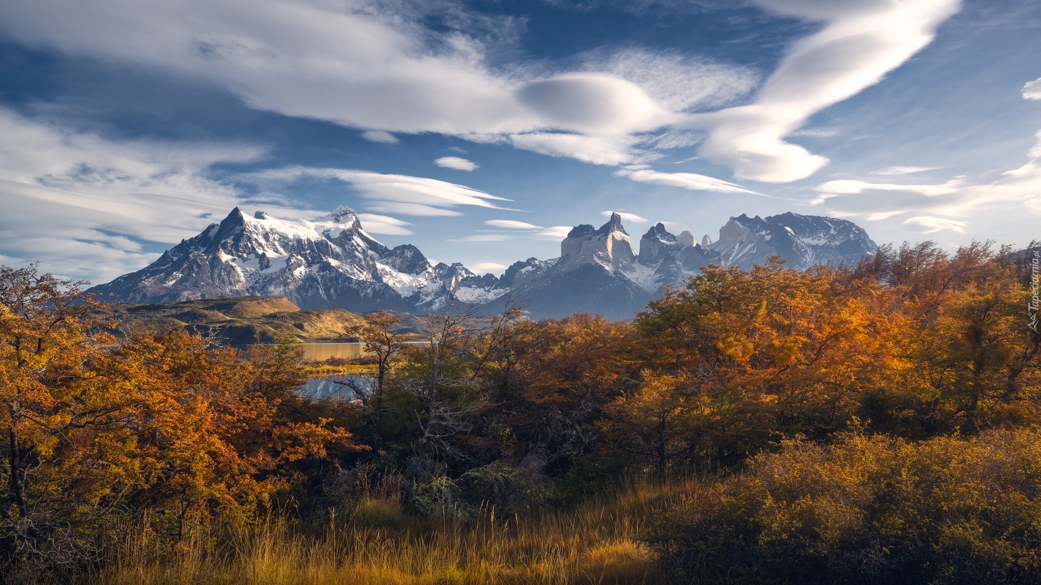 Chile, Patagonia, Park Narodowy Torres del Paine, Góry, Jesień, Drzewa