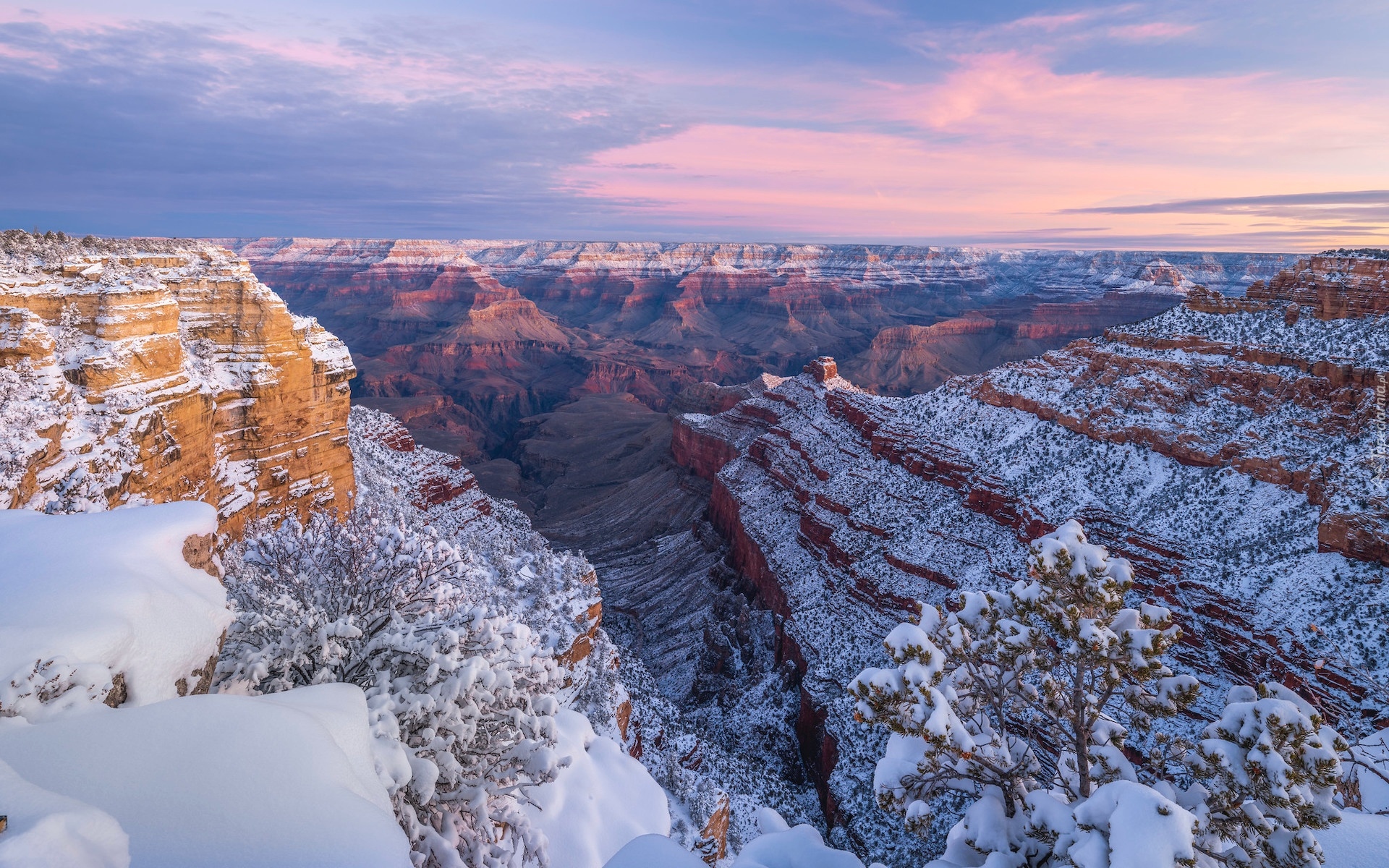 Stany Zjednoczone, Arizona, Grand Canyon, Kanion, Park Narodowy Wielkiego Kanionu, Skały, Zima, Drzewo