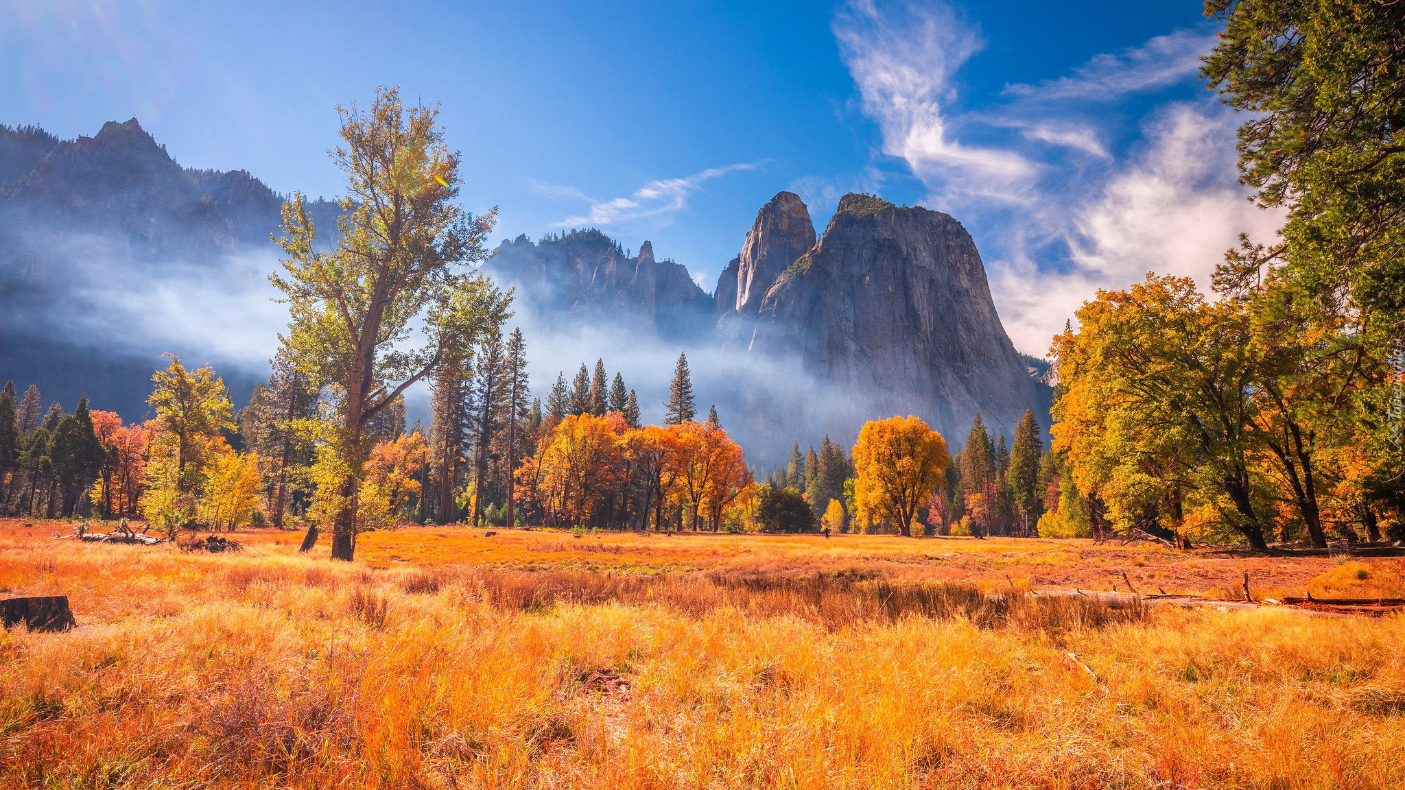 Jesień, Góry, Mgła, Drzewa, Trawa, Park Narodowy Yosemite, Kalifornia, Stany Zjednoczone