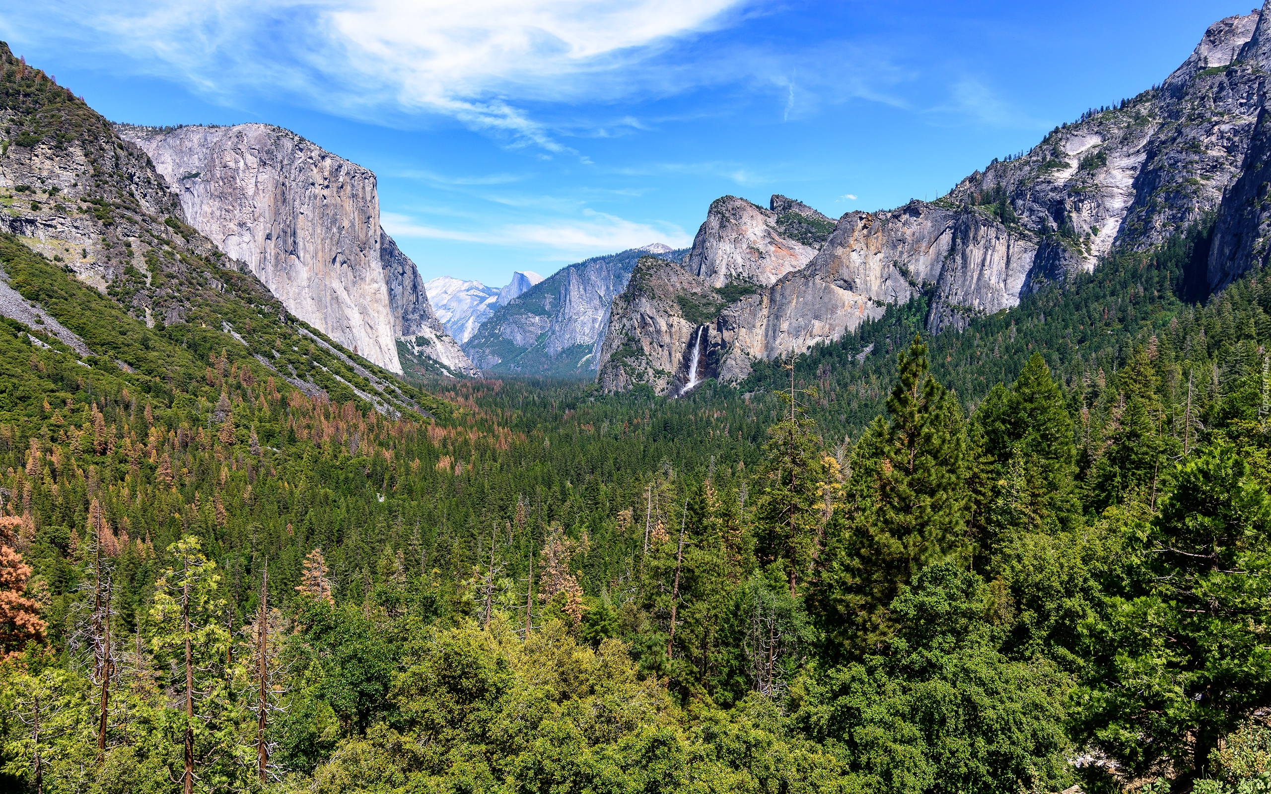 Park Narodowy Yosemite, Góry, Dolina Yosemite Valley, Drzewa, Stan Kalifornia, Stany Zjednoczone