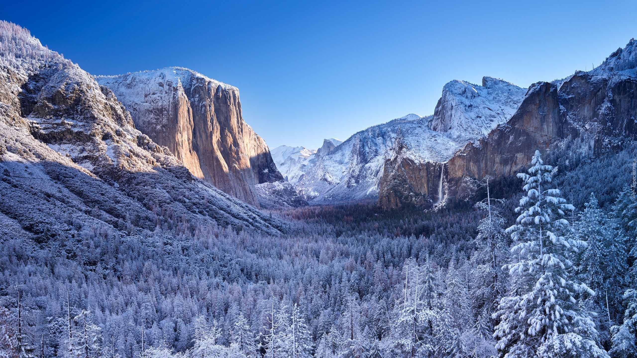 Stany Zjednoczone, Kalifornia, Park Narodowy Yosemite, Dolina Yosemite Valley, Zima, Góry, Zaśnieżone, Lasy, Drzewa