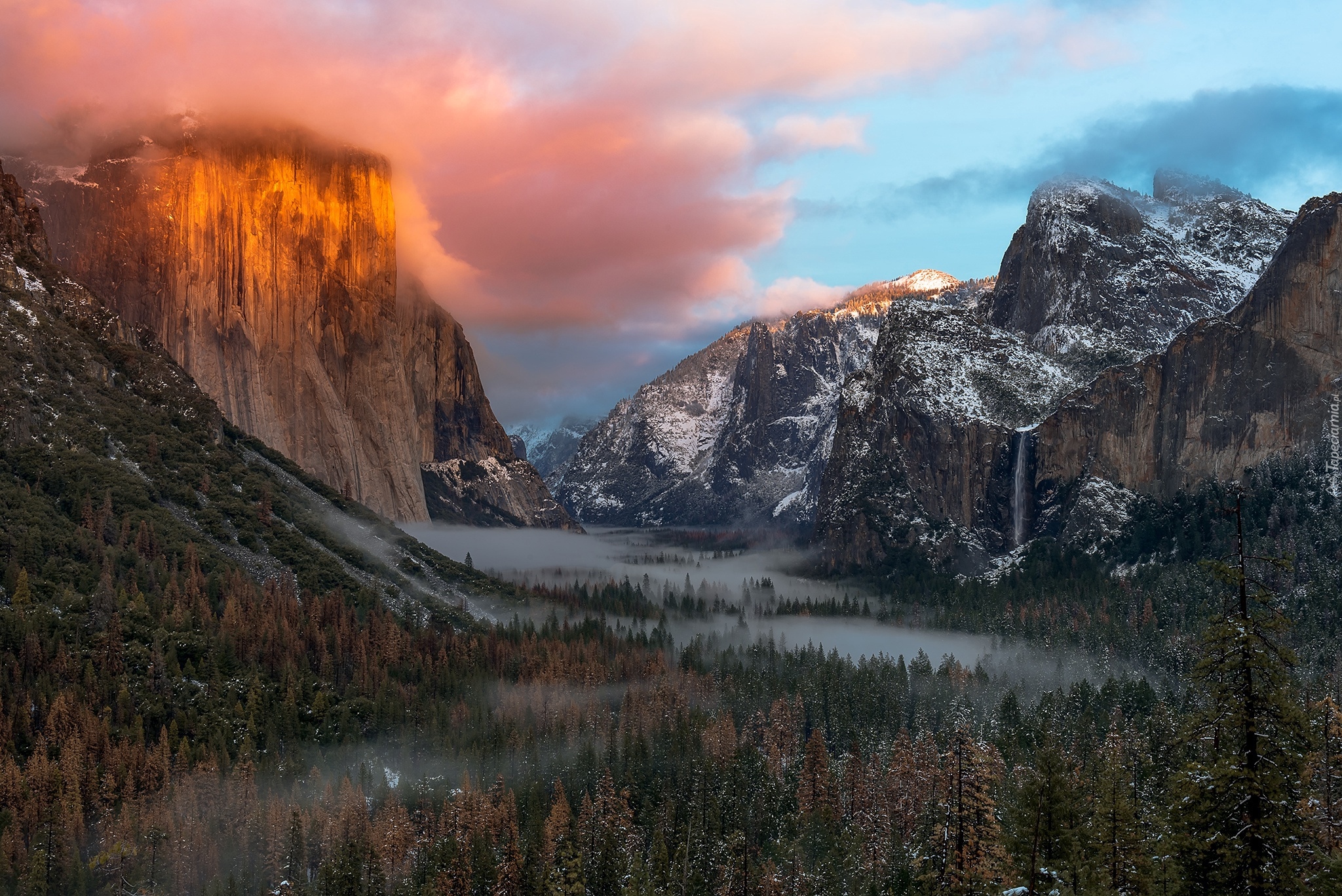 Stany Zjednoczone, Stan Kalifornia, Park Narodowy Yosemite, Góry, Szczyt El Capitan, Lasy, Mgła, Niebo, Chmury