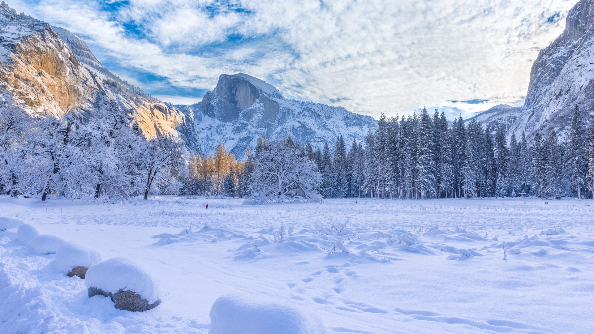 Zima, Park Narodowy Yosemite, Drzewa, Góry, Chmury, Kalifornia, Stany Zjednoczone