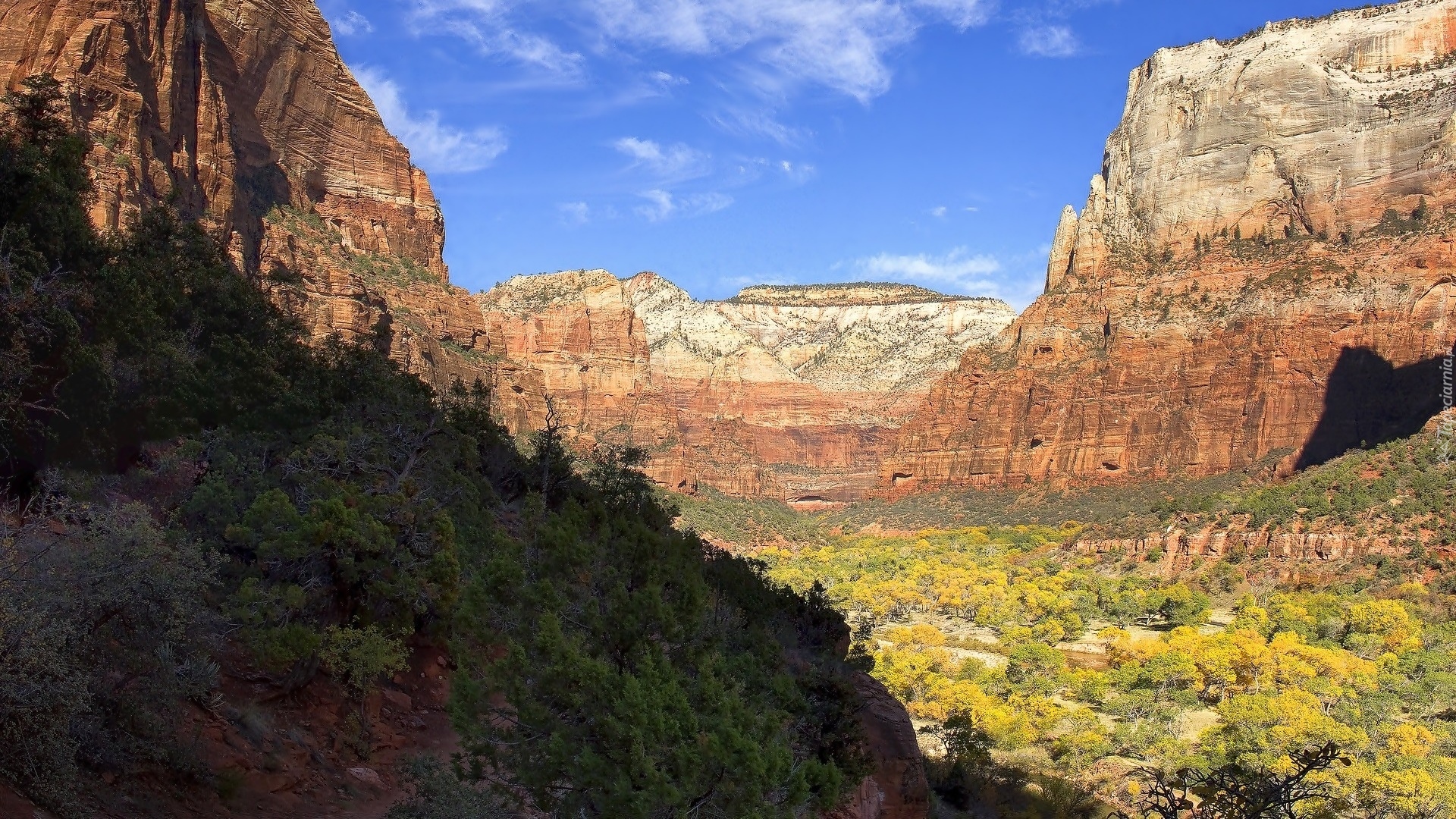 Góry, Skały, Krzewy, Park Narodowy Zion, Utah, Stany Zjednoczone