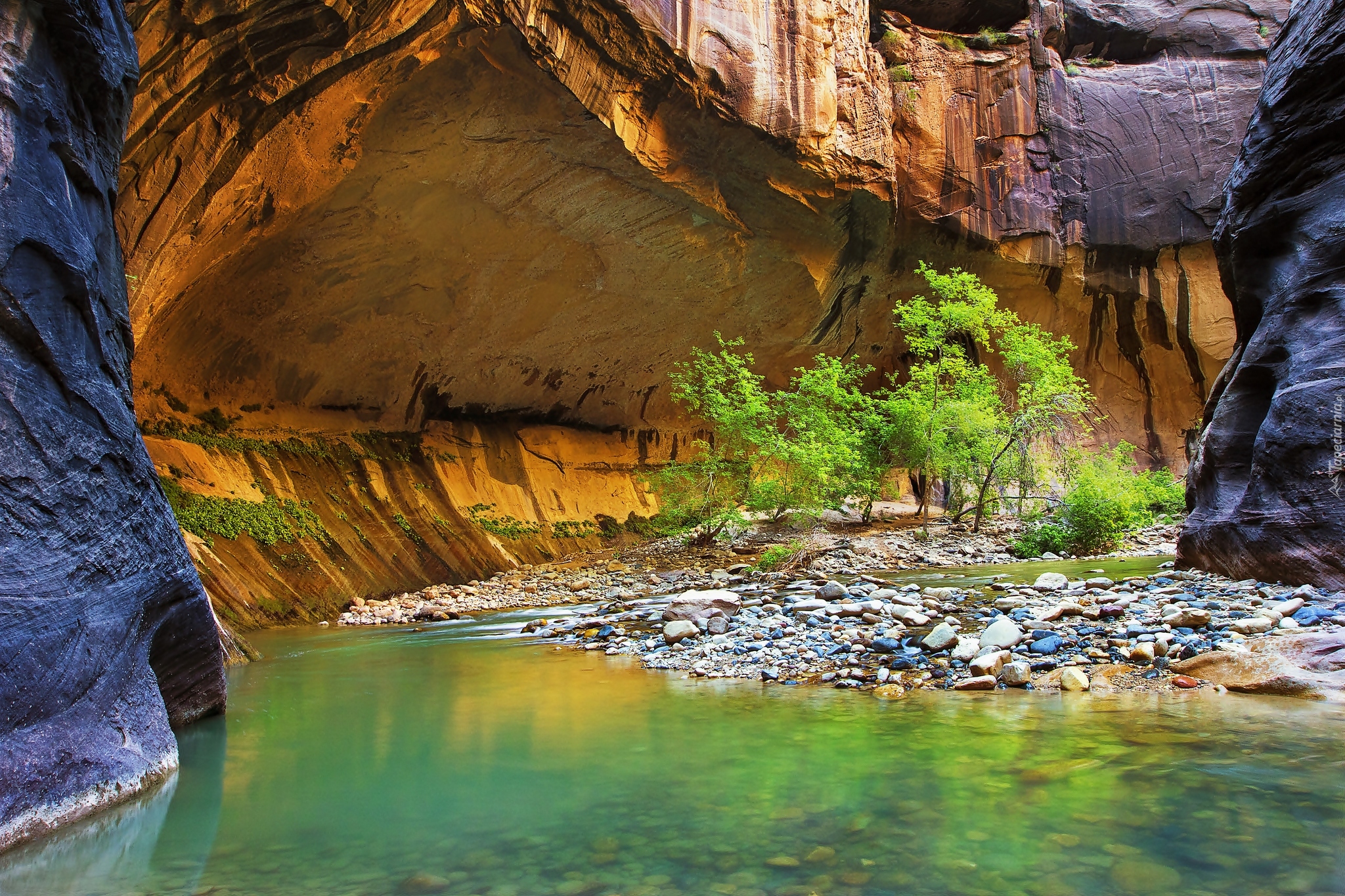 Park Narodowy Zion, Rzeka Virgin River, Kanion Zion Narrows, Skały, Kamienie, Roślinność, Stan Utah, Stany Zjednoczone