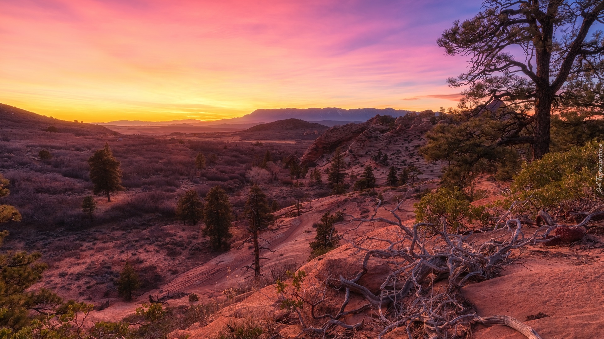 Góry, Drzewa, Zachód słońca, Park Narodowy Zion, Stan Utah, Stany Zjednoczone