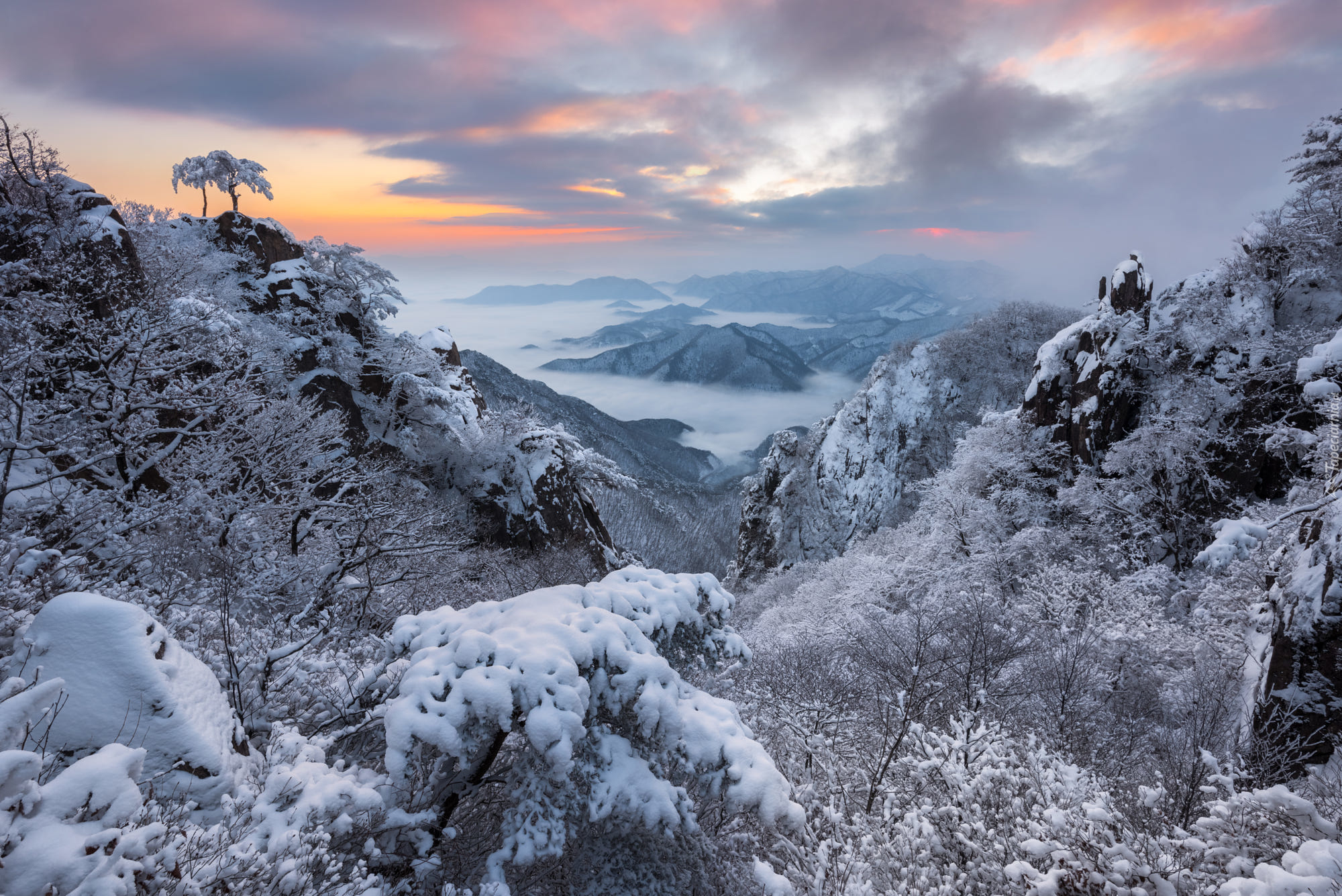 Park Prowincjonalny Daedunsan, Góra Daedunsan, Korea Południowa, Prowincja Jeolla Północna, Wschód Słońca, Zima, Drzewa, Góry, Mgła