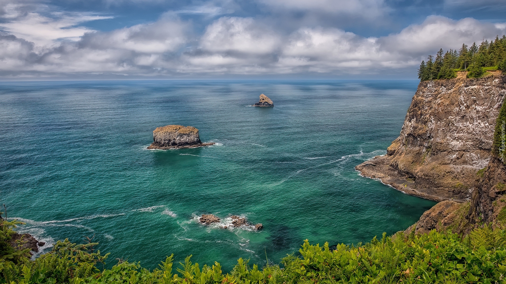 Wybrzeże, Morze, Skały, Roślinność, Park Stanowy Cape Meares, Przylądek Meares, Oregon, Stany Zjednoczone