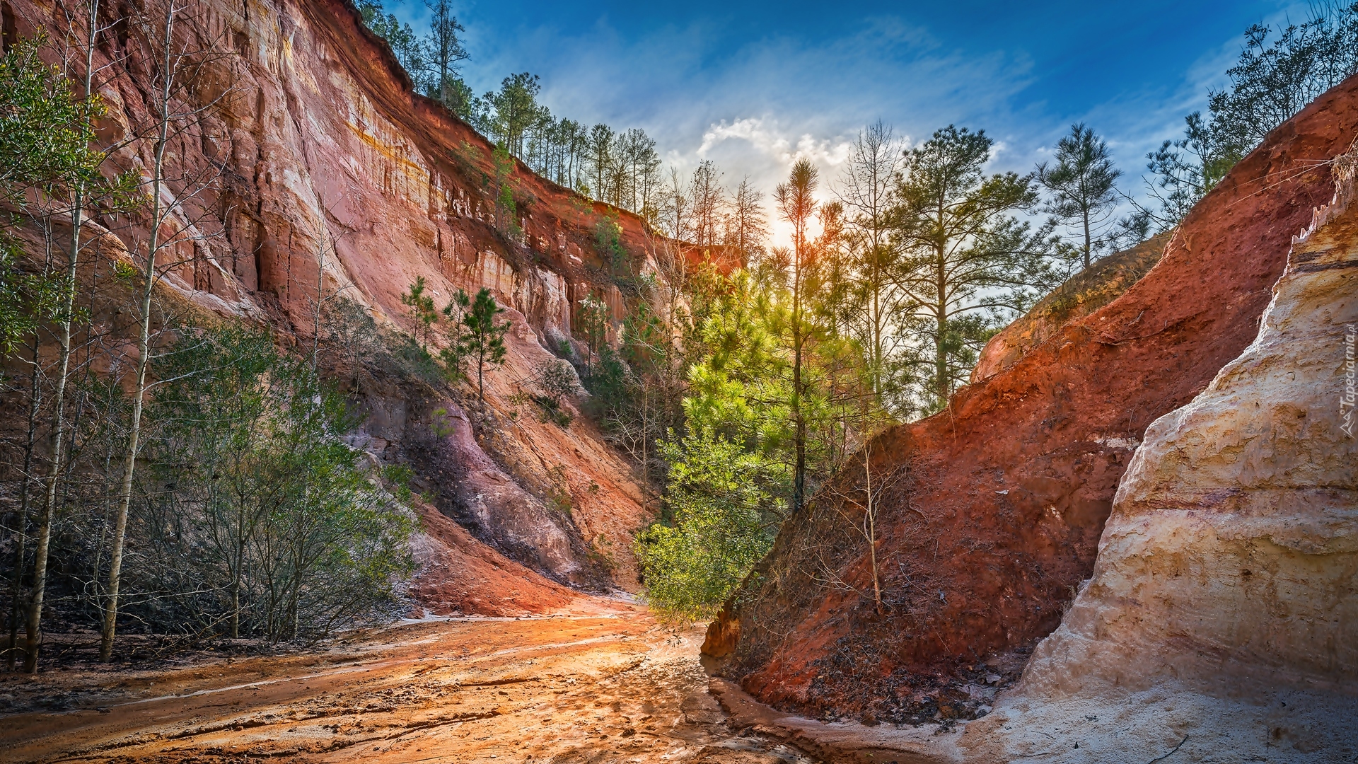 Park stanowy Providence Canyon, Kanion, Skały, Drzewa, Lumpkin, Georgia, Stany Zjednoczone