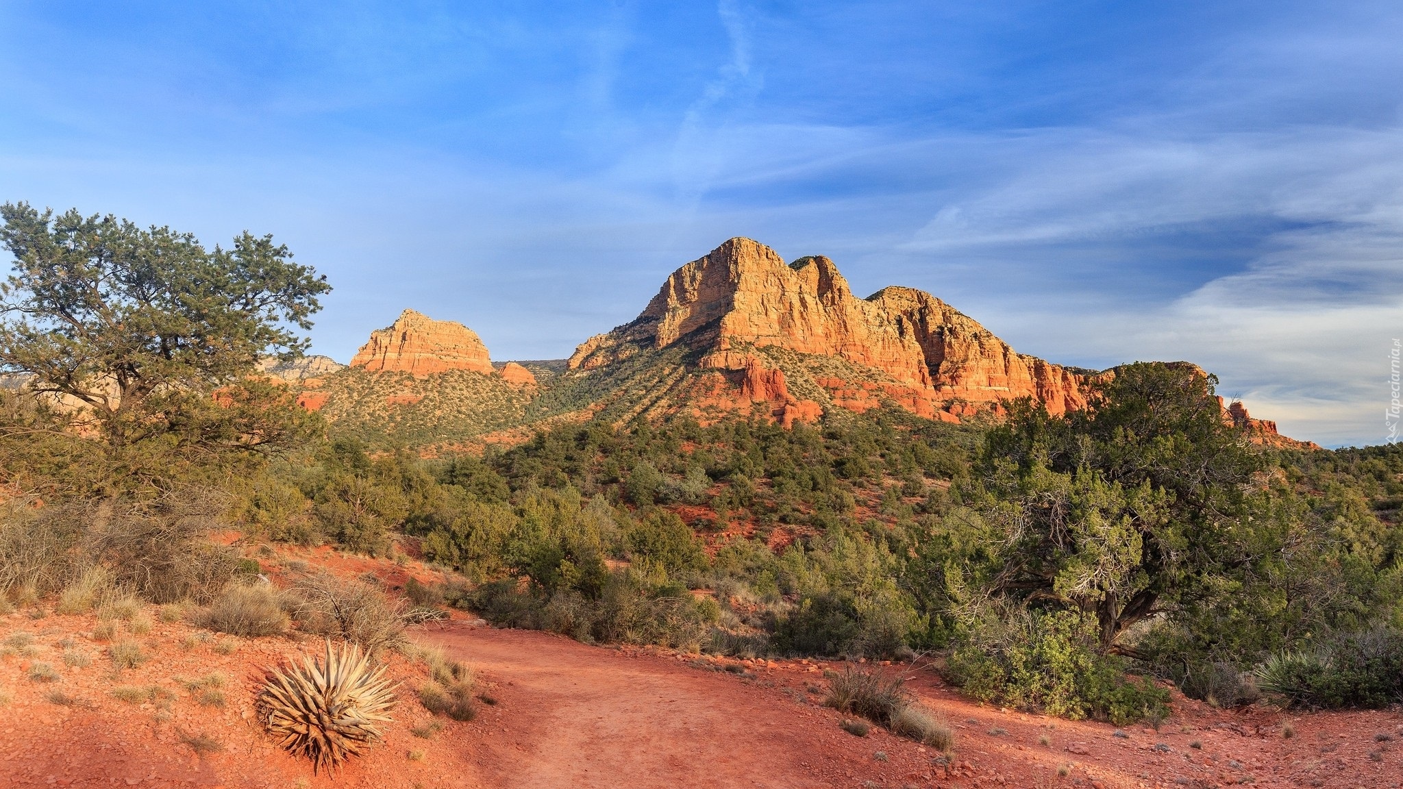 Stany Zjednoczone, Stan Arizona, Park stanowy Red Rock, Czerwone, Skały, Drzewa