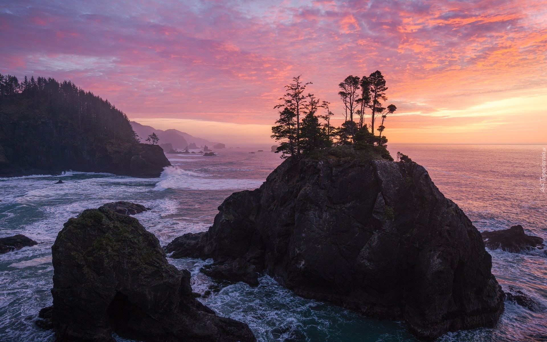 Morze, Skały, Drzewa, Wybrzeże, Wschód słońca, Chmury, Park stanowy, Samuel H Boardman State Scenic Corridor, Oregon, Stany Zjednoczone