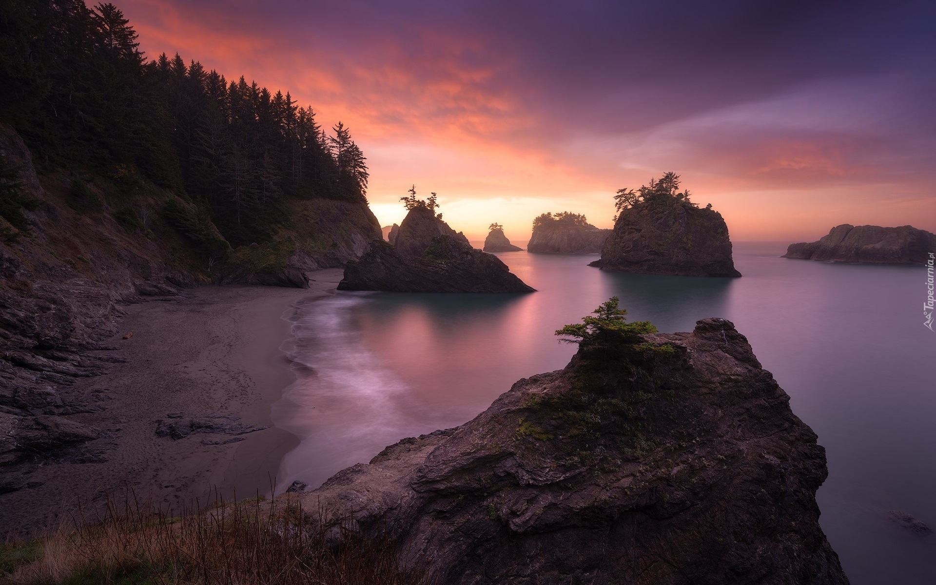 Wschód słońca, Morze, Skały, Drzewa, Wybrzeże Park stanowy, Samuel H Boardman State Scenic Corridor, Oregon, Stany Zjednoczone