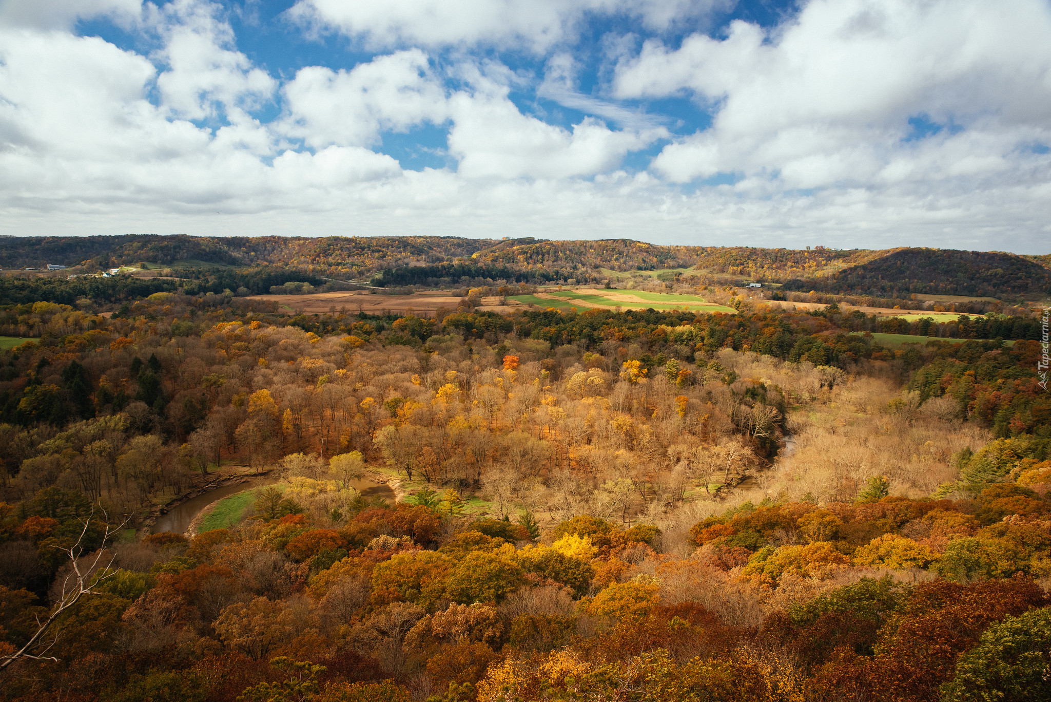 Stany Zjednoczone, Wisconsin, Wildcat Mountain State Park, Jesień, Wzgórza, Las, Pożółkłe, Drzewa, Niebo, Chmury