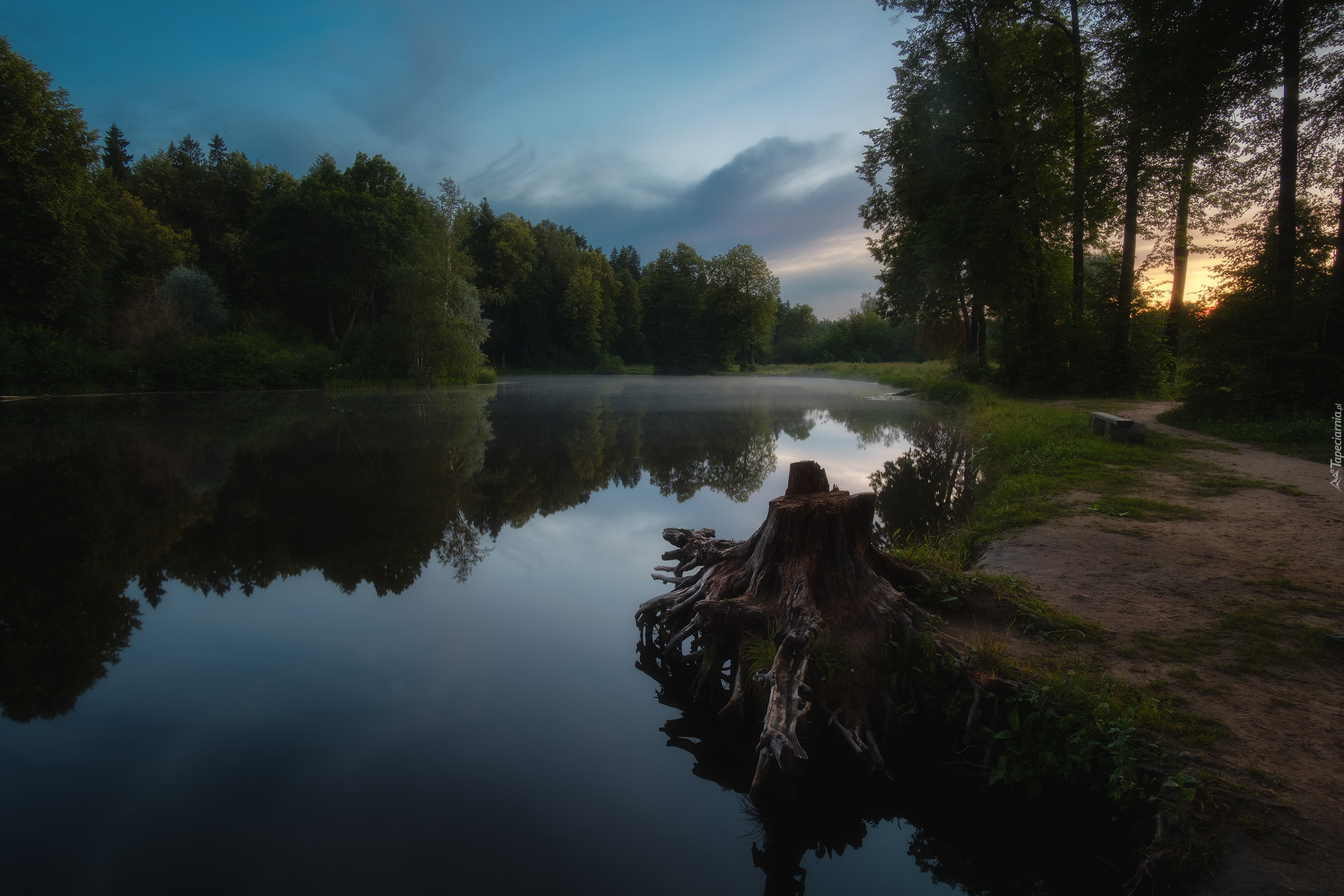 Serednikowo, Park, Staw, Drzewa, Ścieżka, Ławeczka, Obwód moskiewski, Rosja