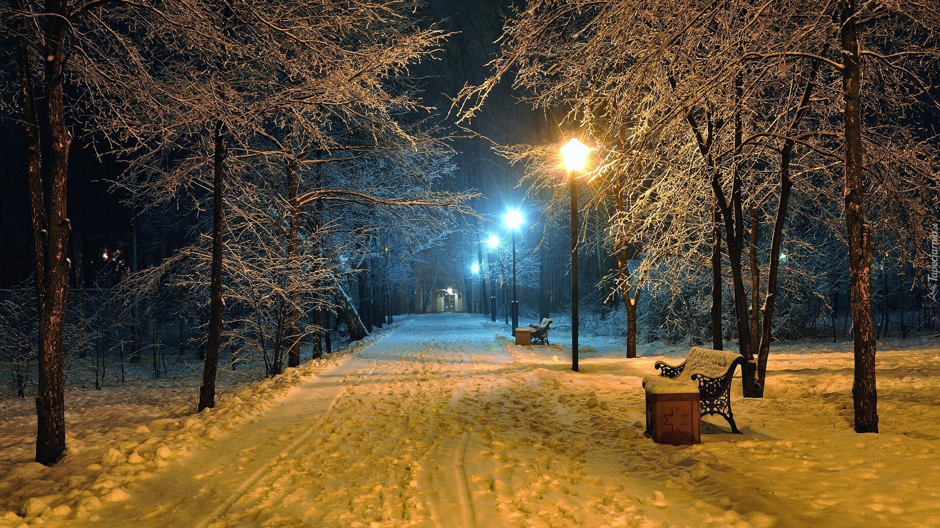 Zima, Park, Ławki, Latarnie, Ośnieżone, Drzewa